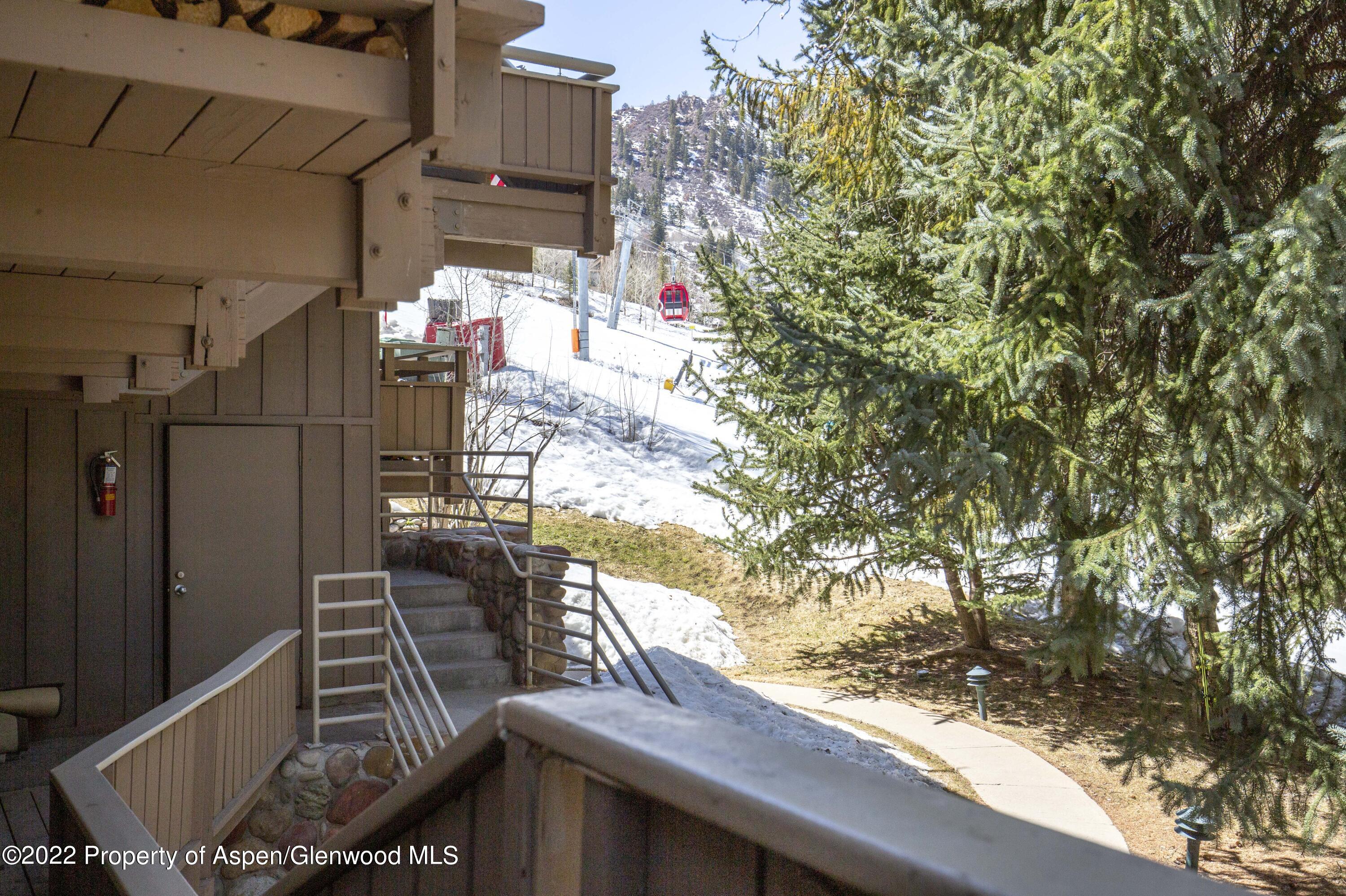 700 S Ute Avenue Aspen CO 81611