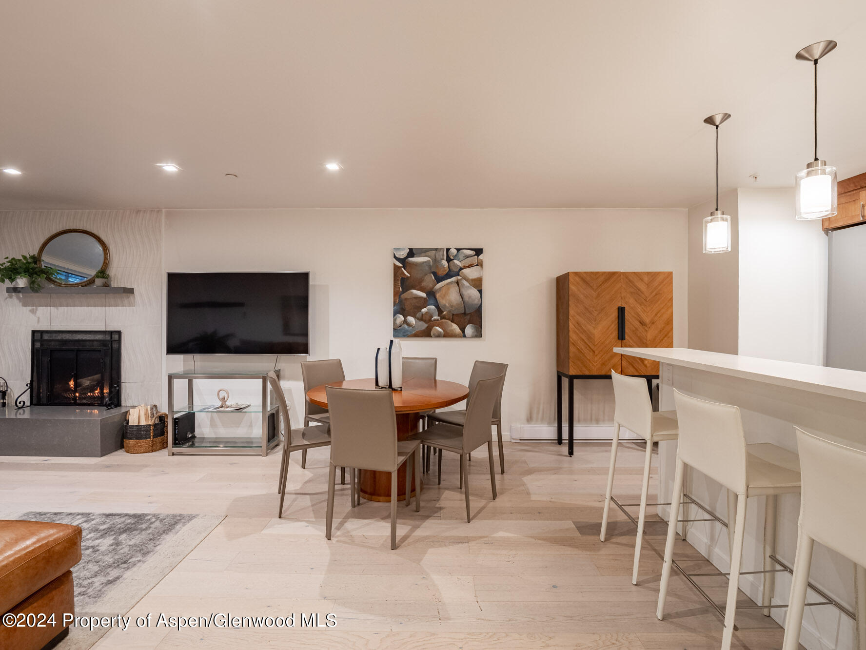 1039 E Cooper Avenue Aspen CO 81611