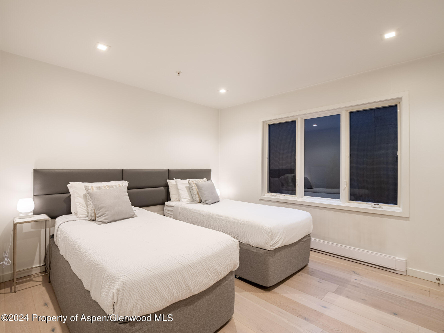 1039 E Cooper Avenue Aspen CO 81611