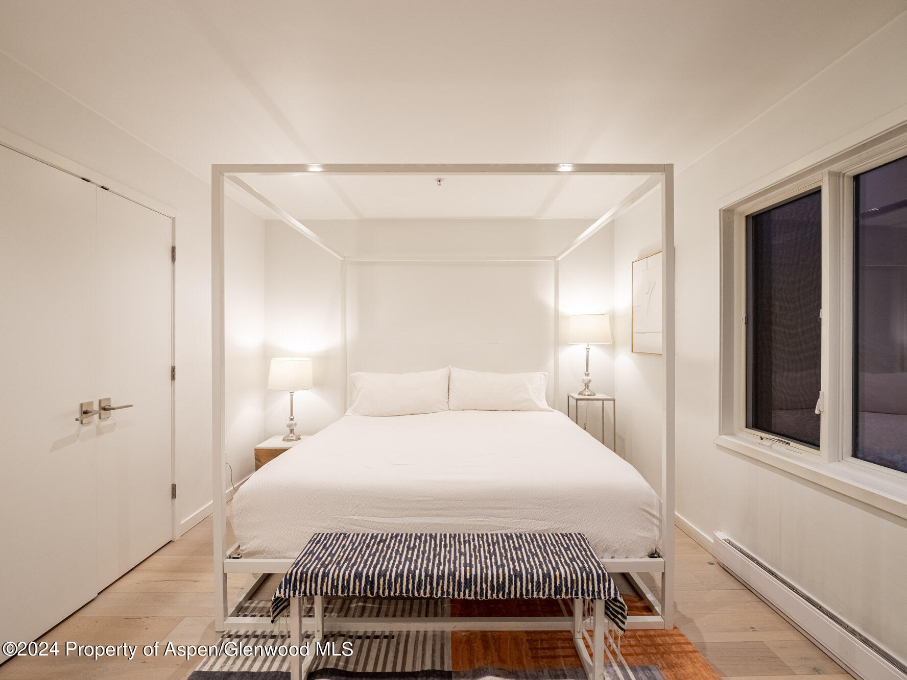 1039 E Cooper Avenue Aspen CO 81611