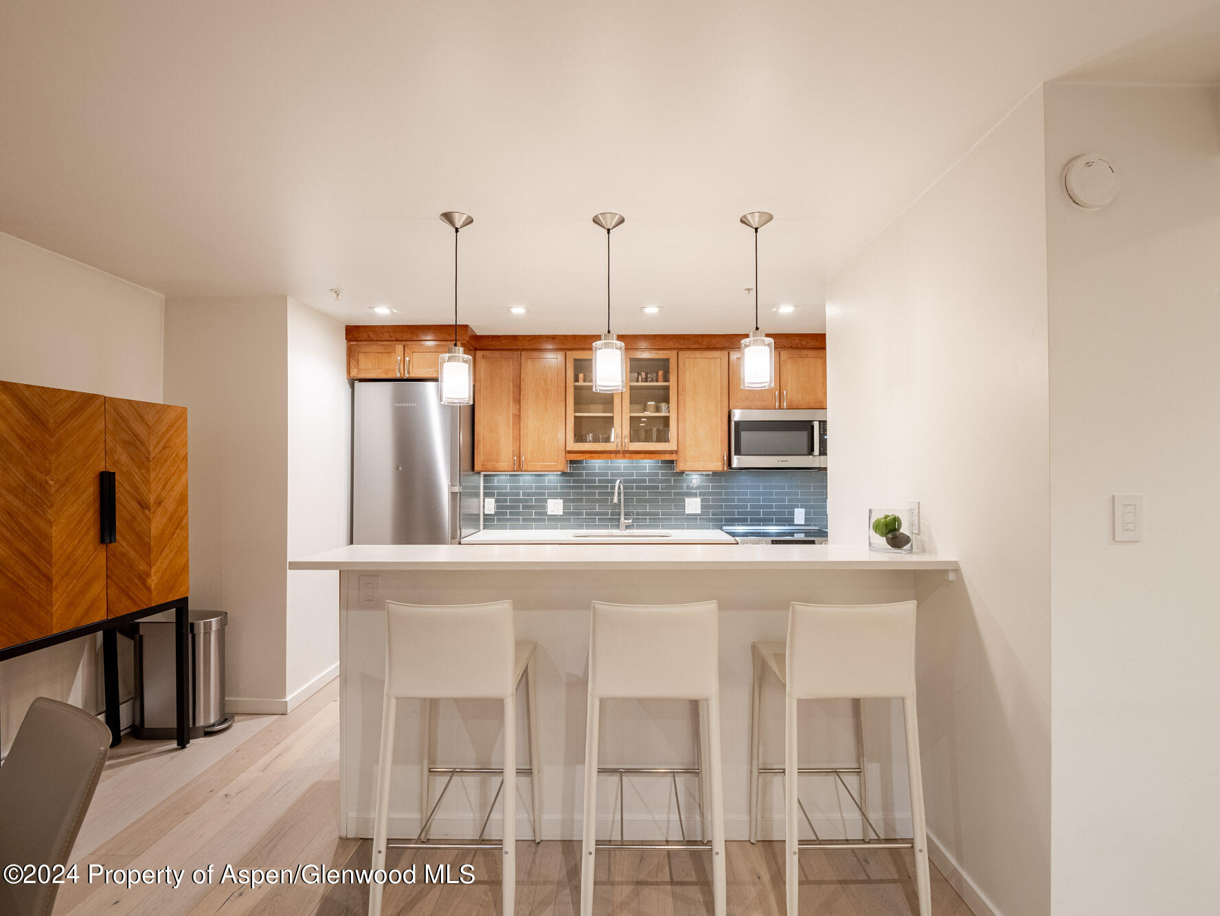 1039 E Cooper Avenue Aspen CO 81611