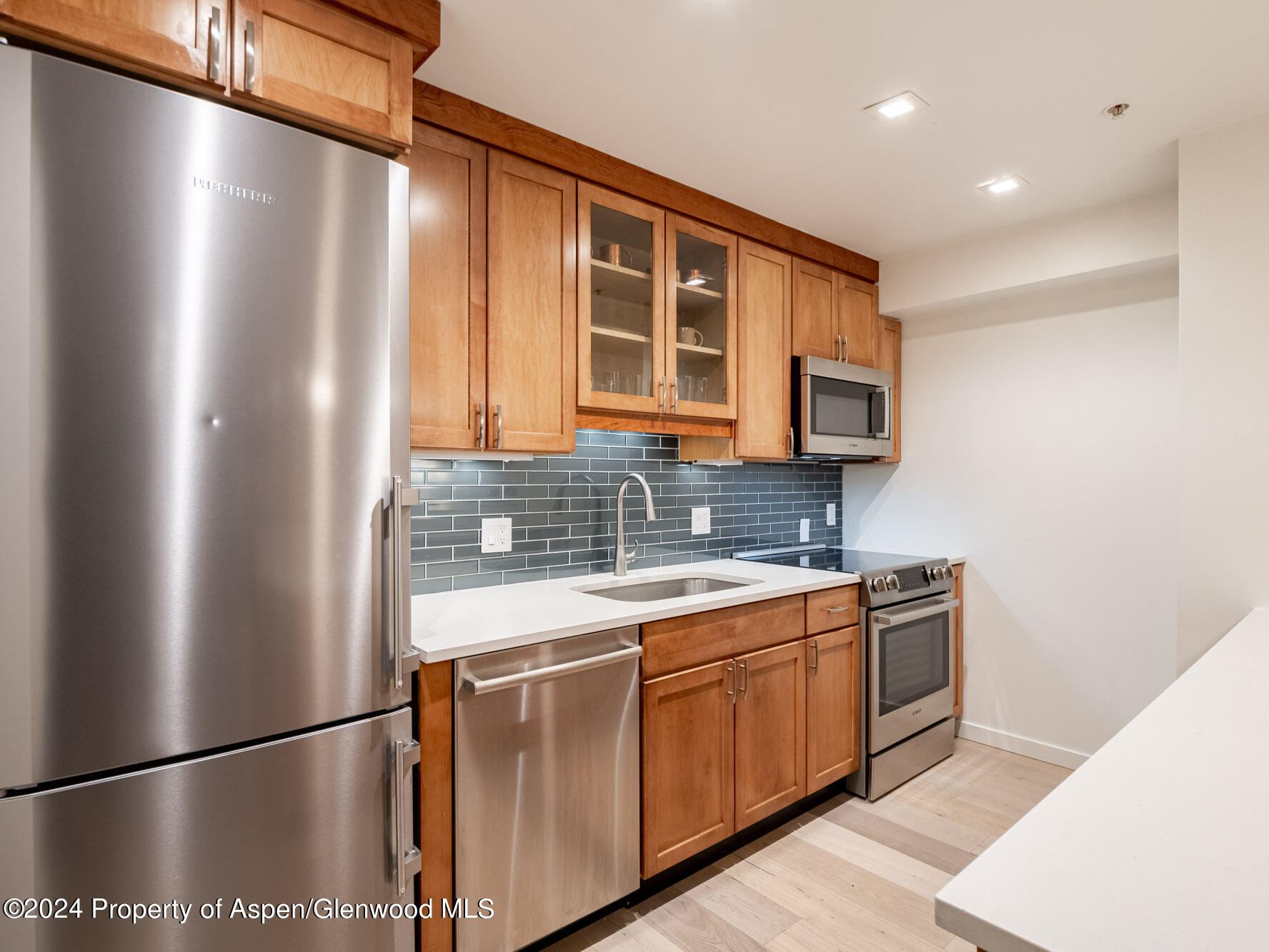 1039 E Cooper Avenue Aspen CO 81611