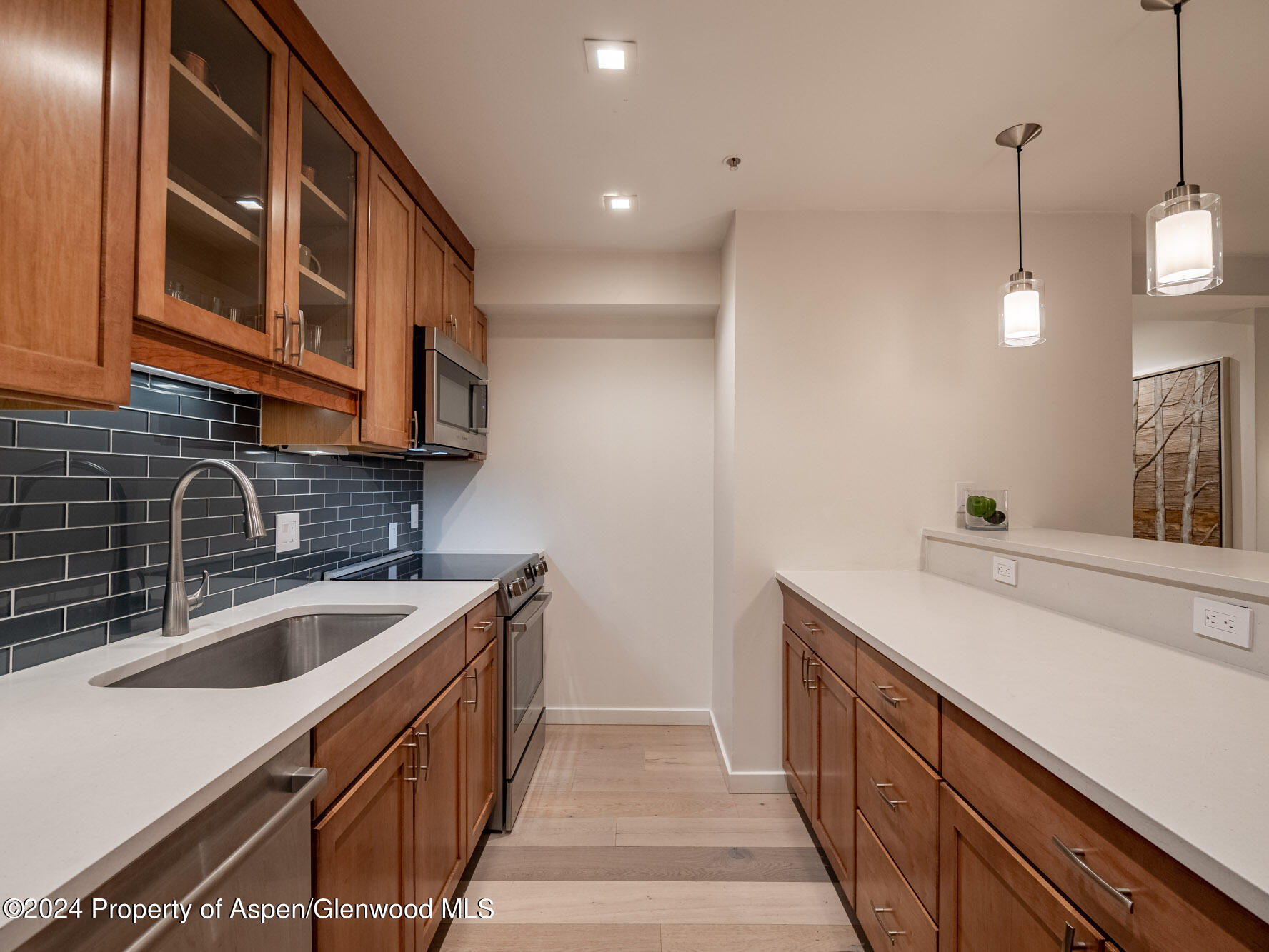 1039 E Cooper Avenue Aspen CO 81611