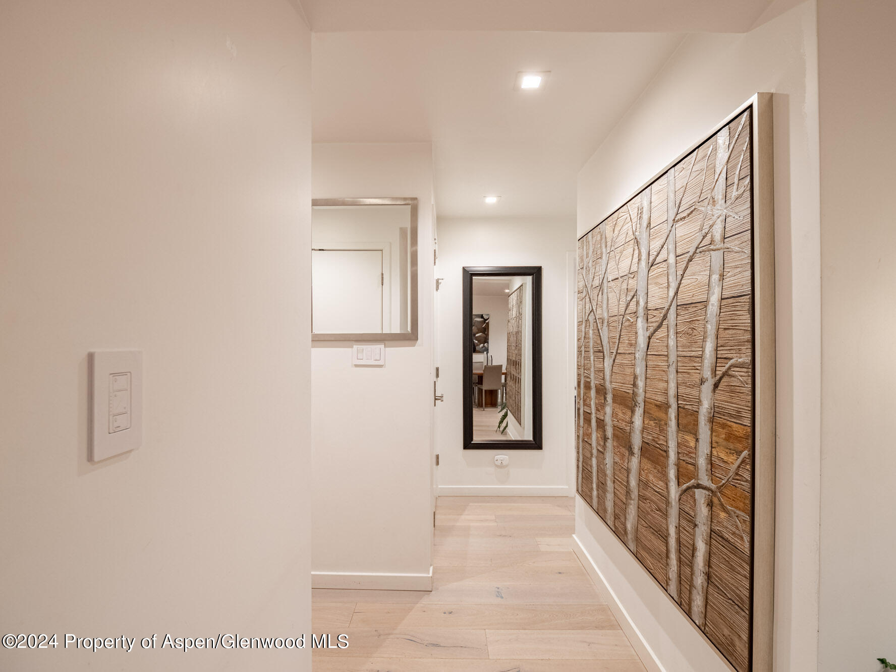 1039 E Cooper Avenue Aspen CO 81611