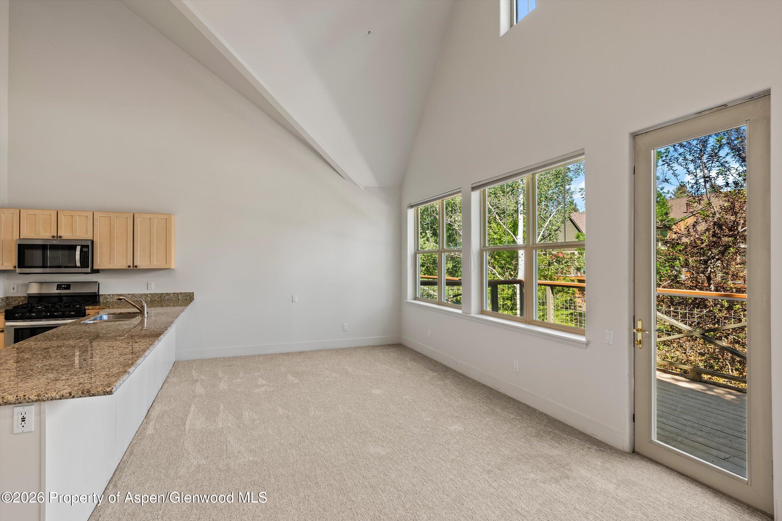 711 Evans Court Basalt CO 81621