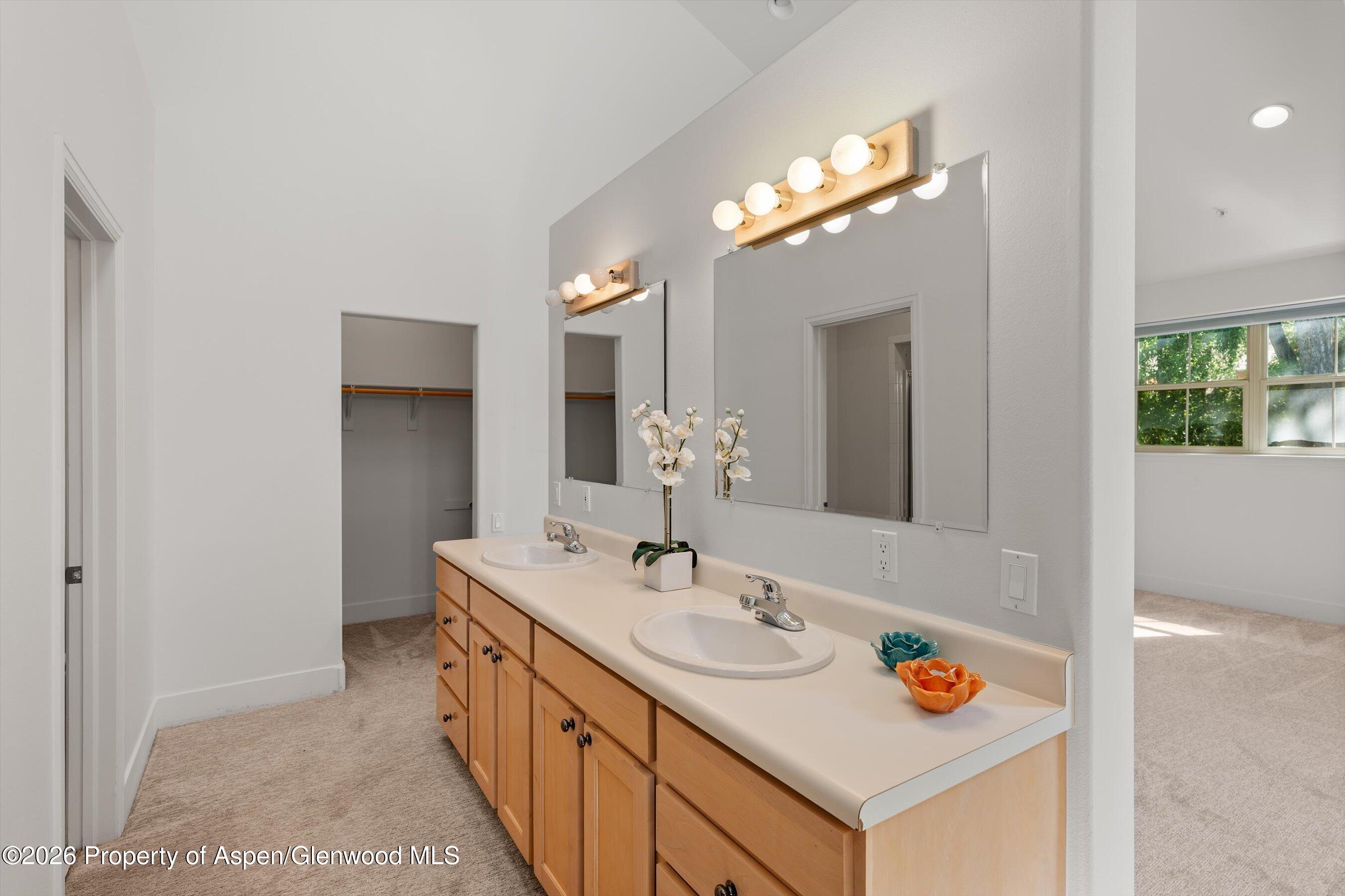 711 Evans Court Basalt CO 81621