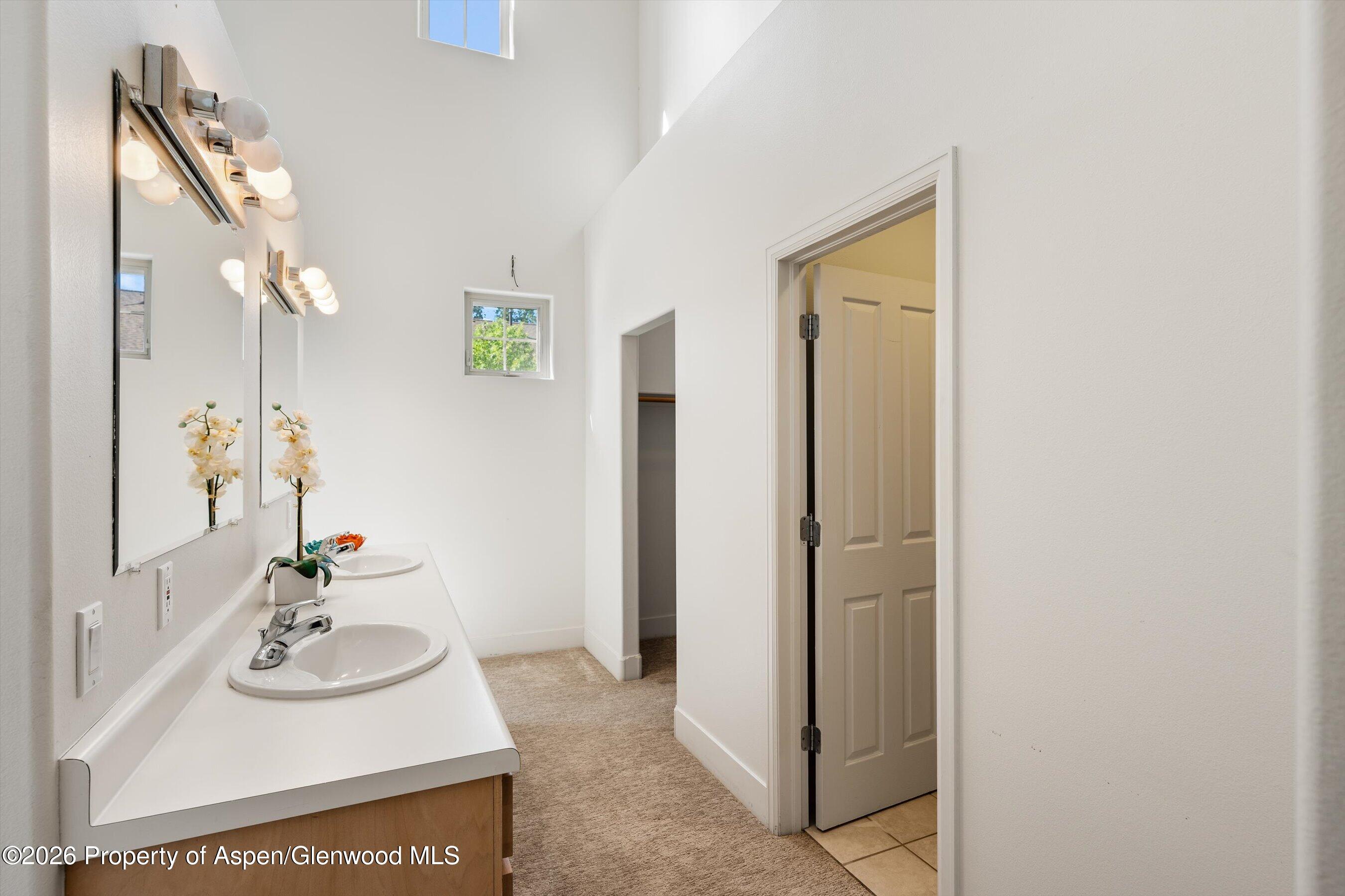 711 Evans Court Basalt CO 81621