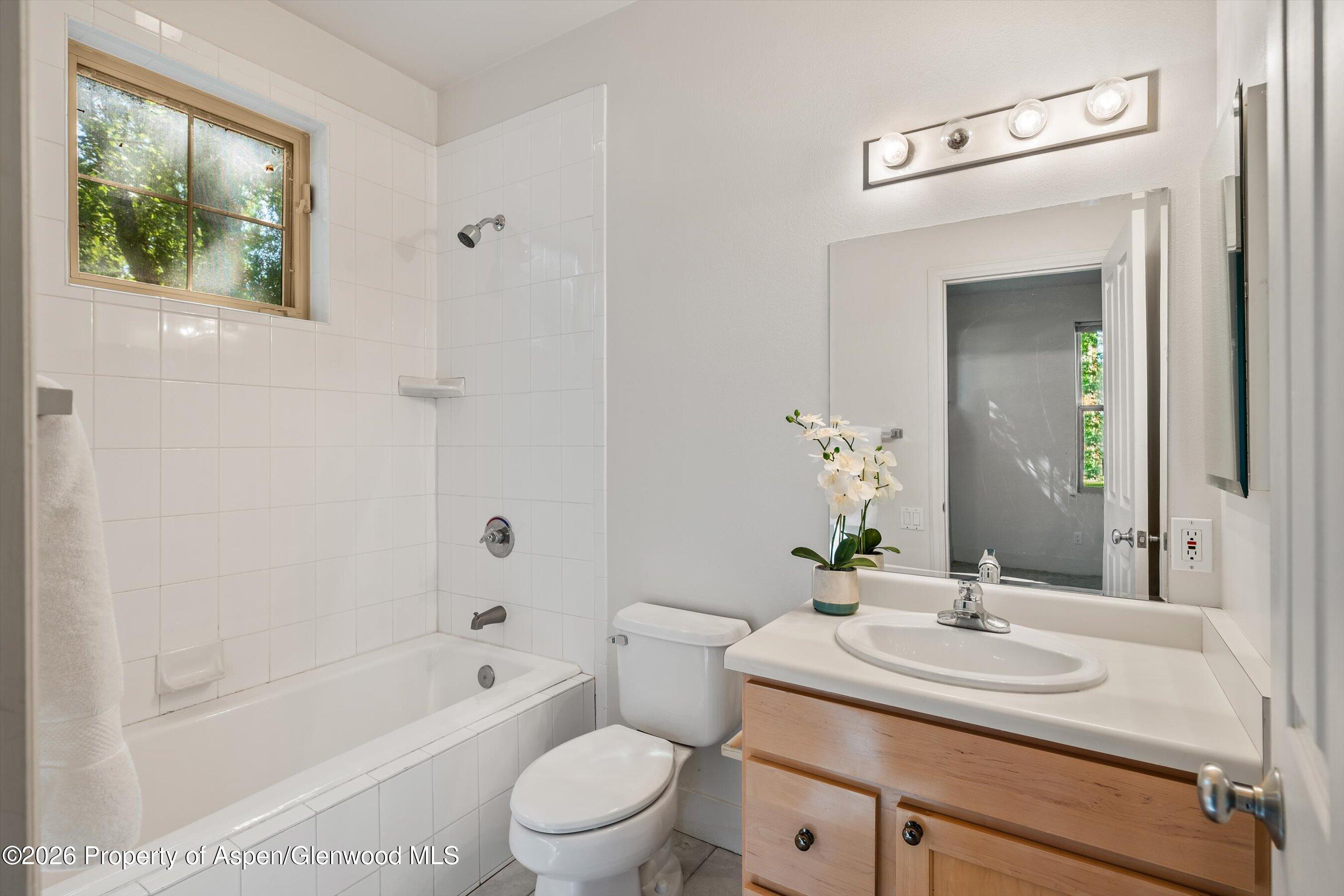 711 Evans Court Basalt CO 81621