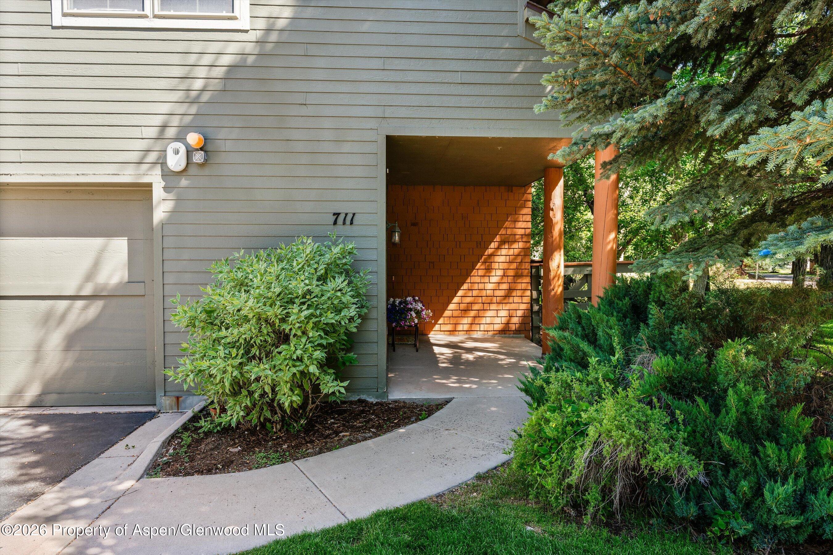 711 Evans Court Basalt CO 81621