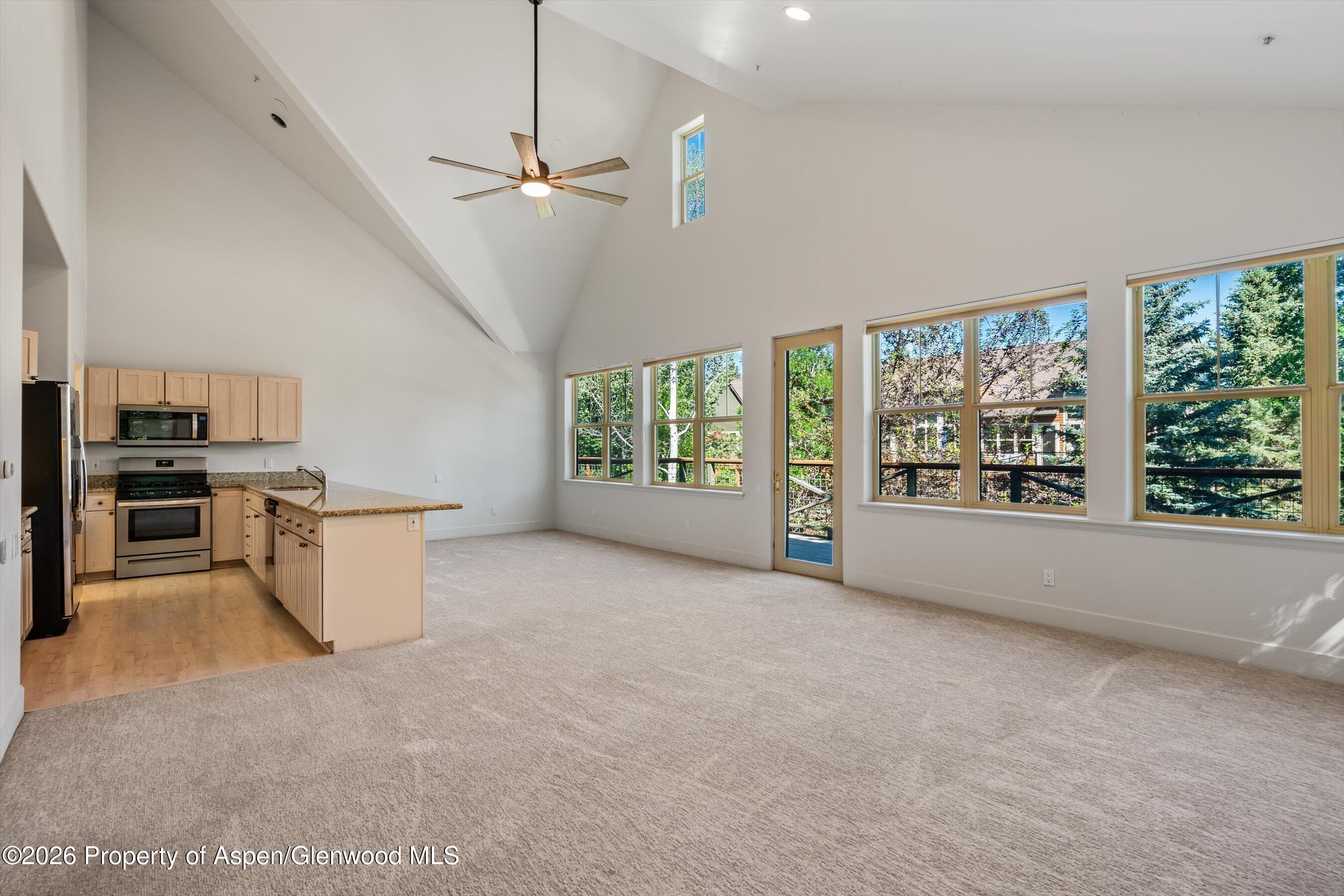 711 Evans Court Basalt CO 81621