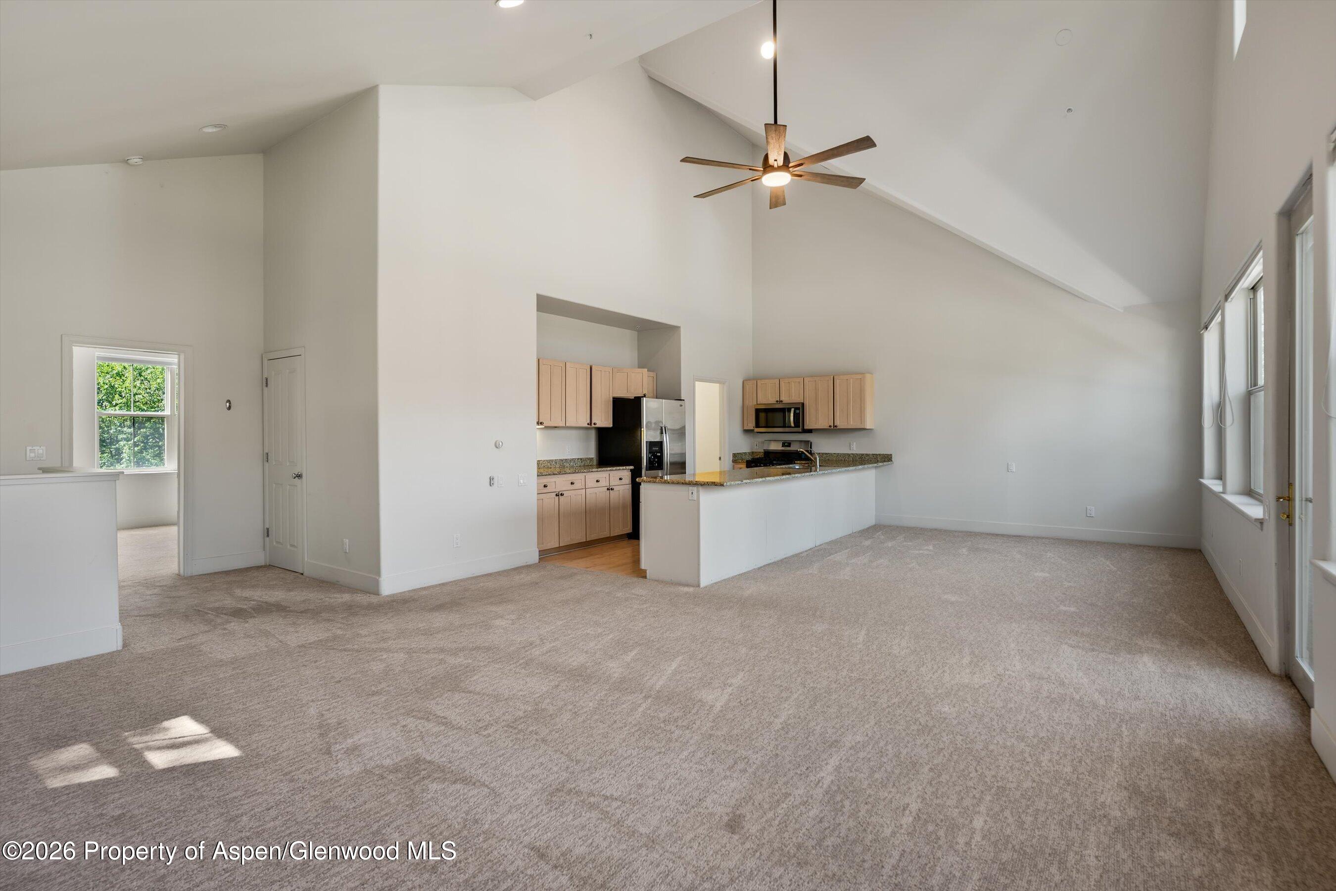 711 Evans Court Basalt CO 81621