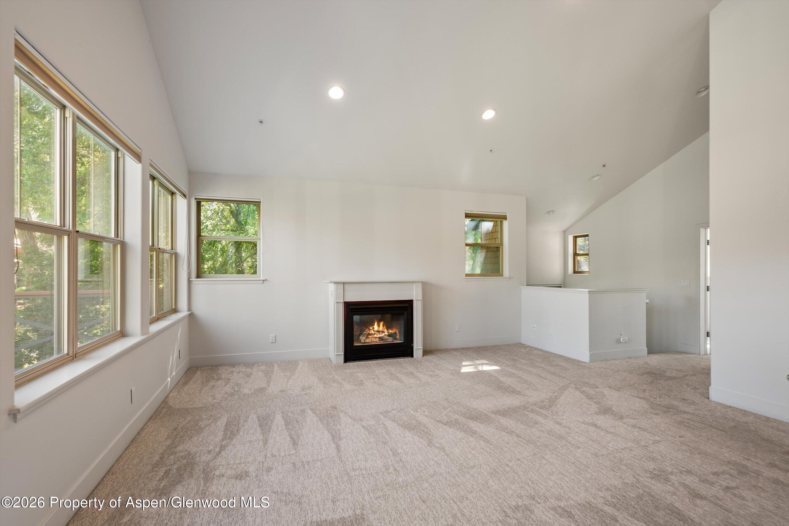 711 Evans Court Basalt CO 81621