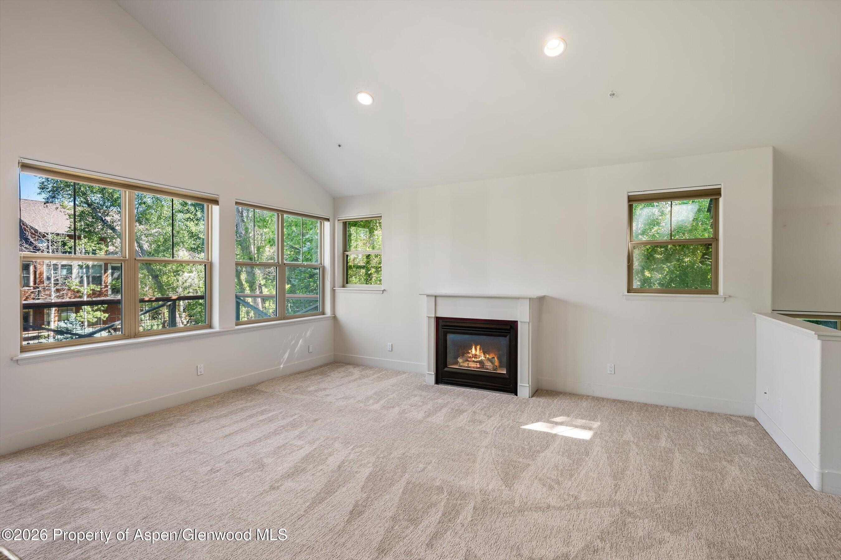 711 Evans Court Basalt CO 81621