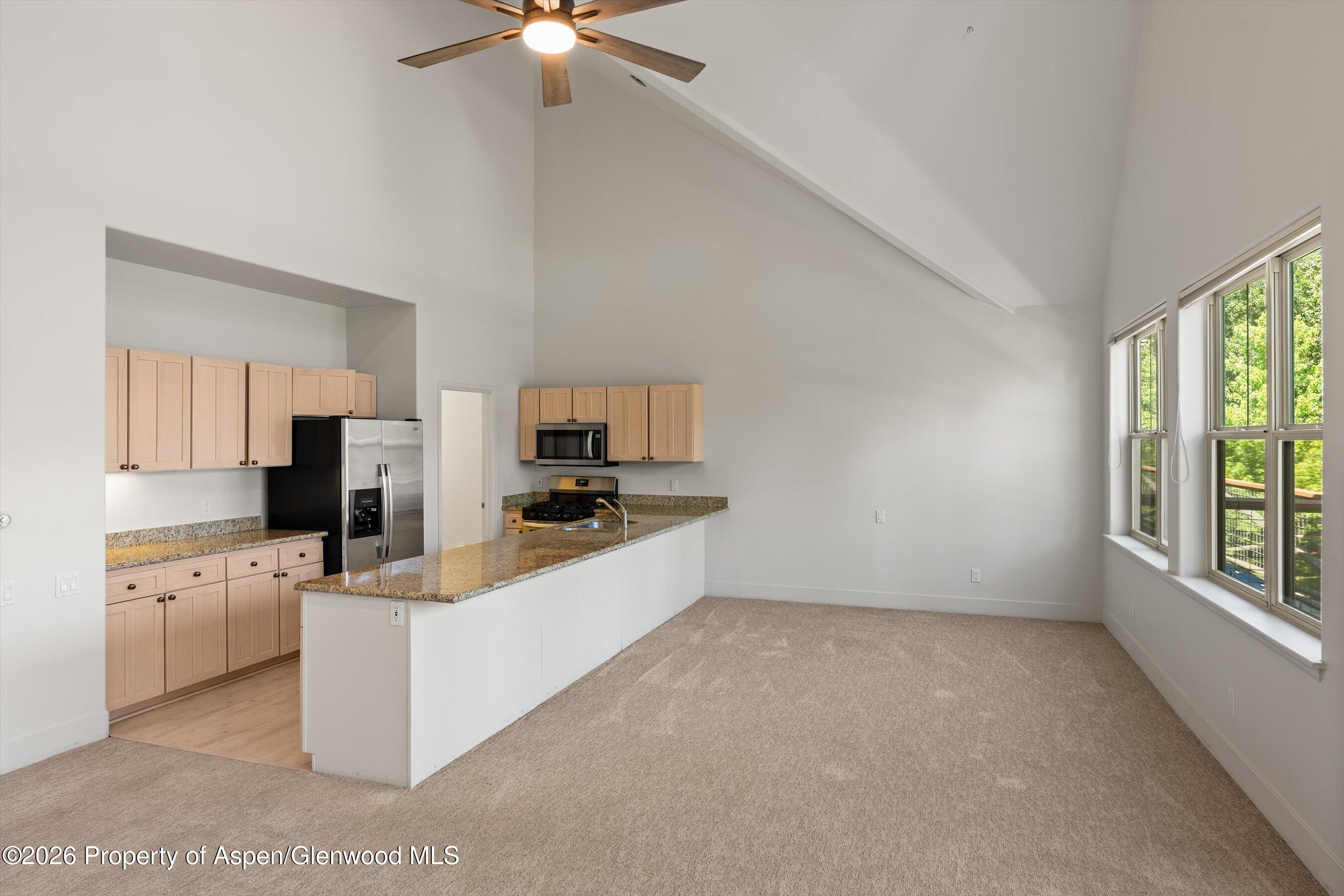 711 Evans Court Basalt CO 81621