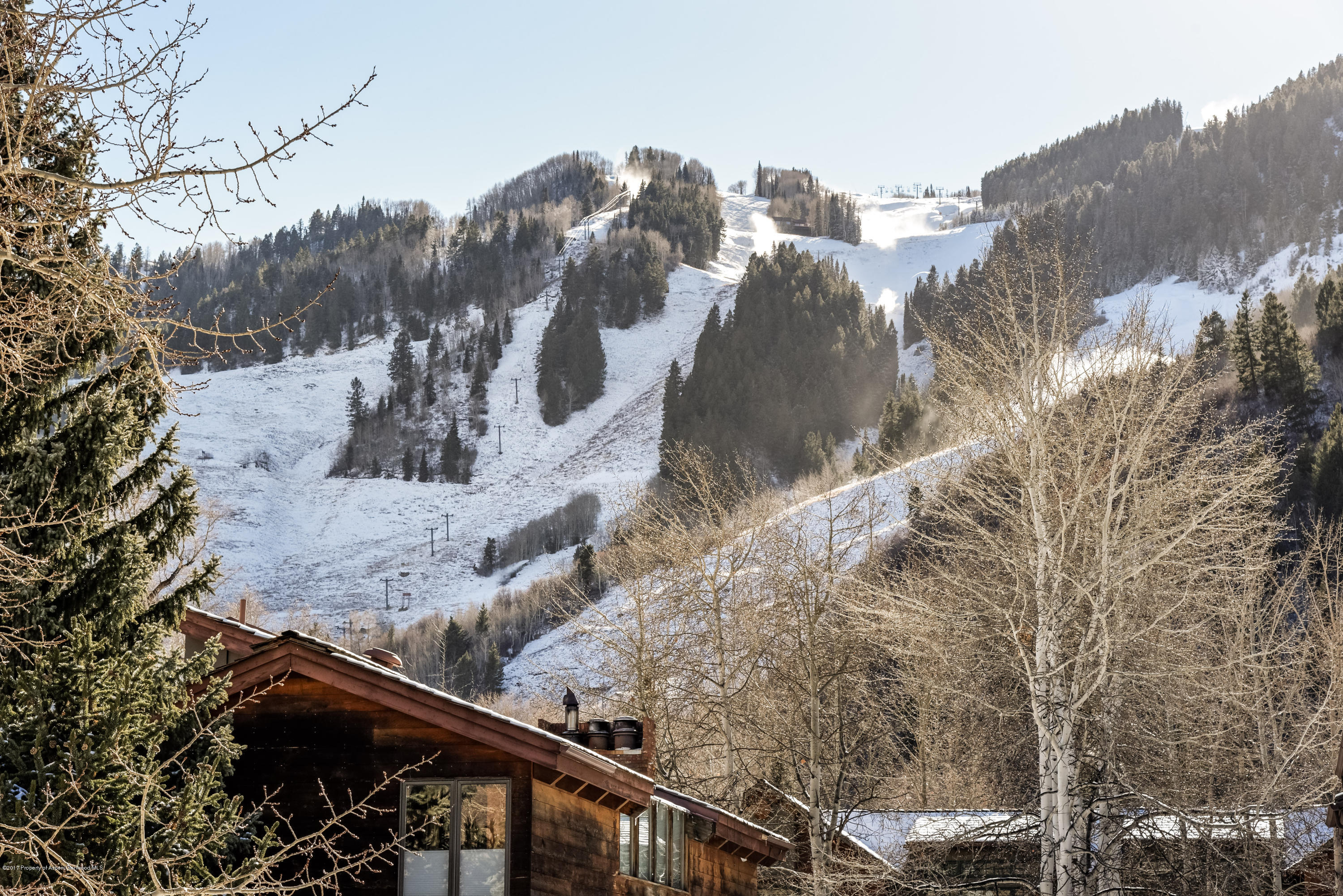 124 W Hyman Avenue Aspen CO 81611