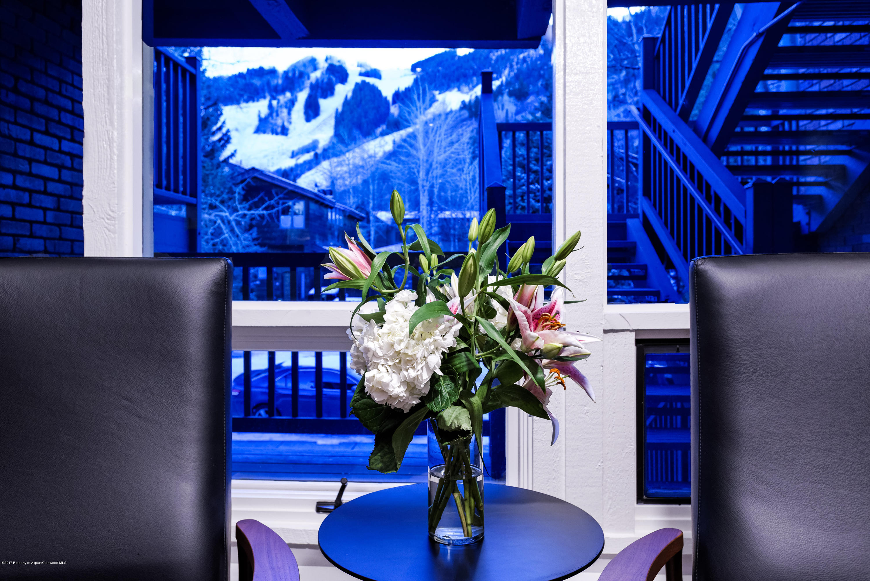 124 W Hyman Avenue Aspen CO 81611