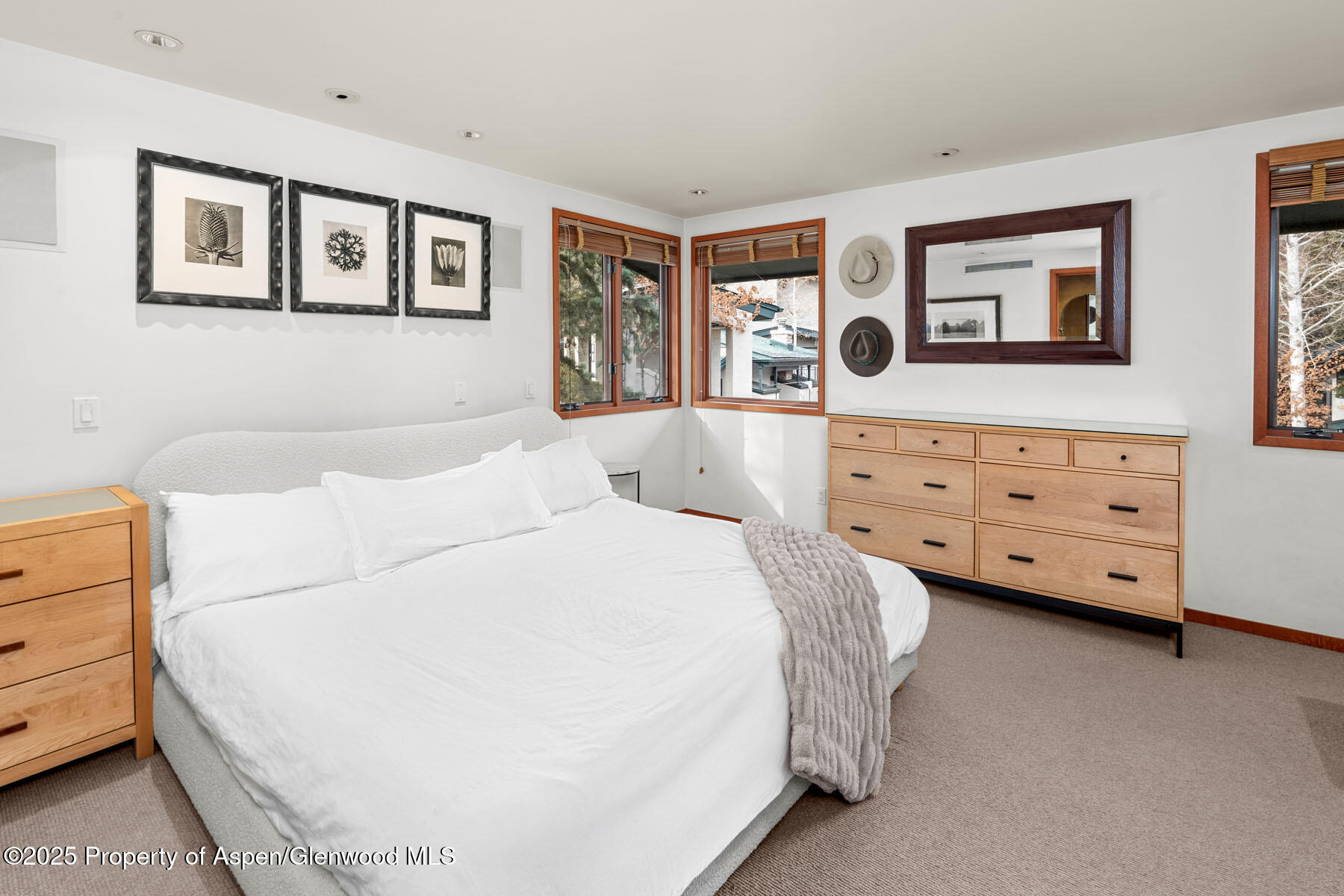 135 Carriage Way Snowmass Village CO 81615