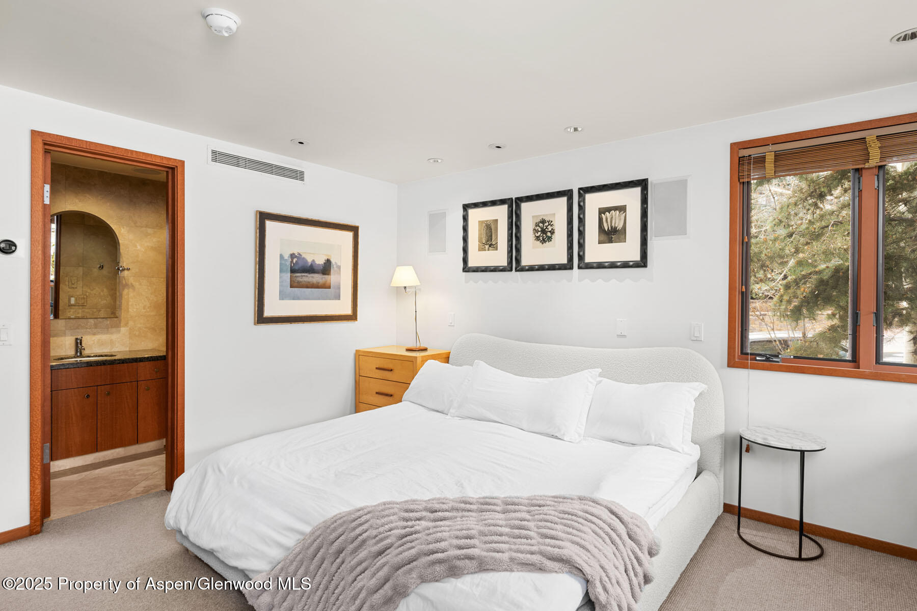 135 Carriage Way Snowmass Village CO 81615