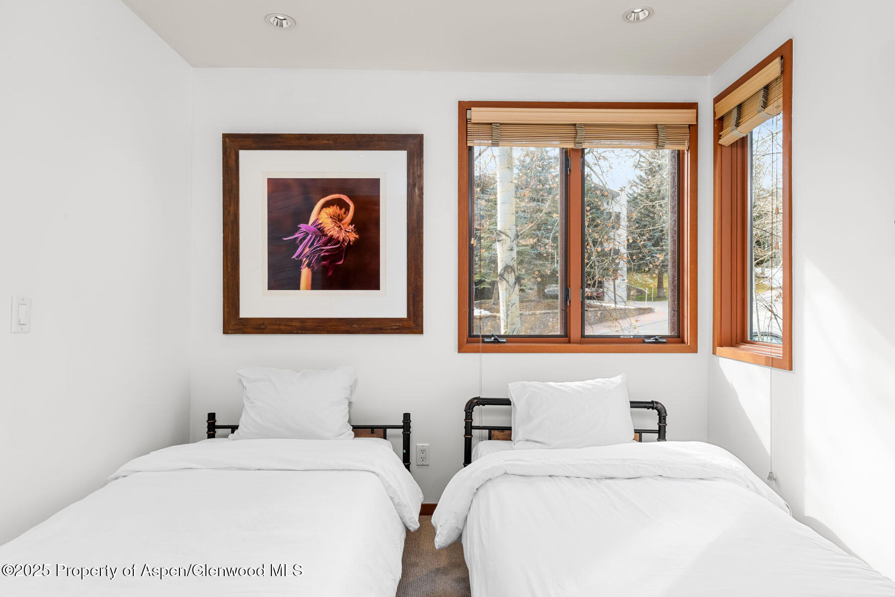 135 Carriage Way Snowmass Village CO 81615