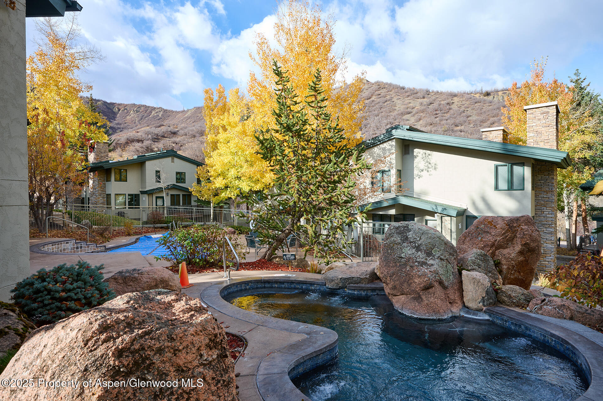 135 Carriage Way Snowmass Village CO 81615