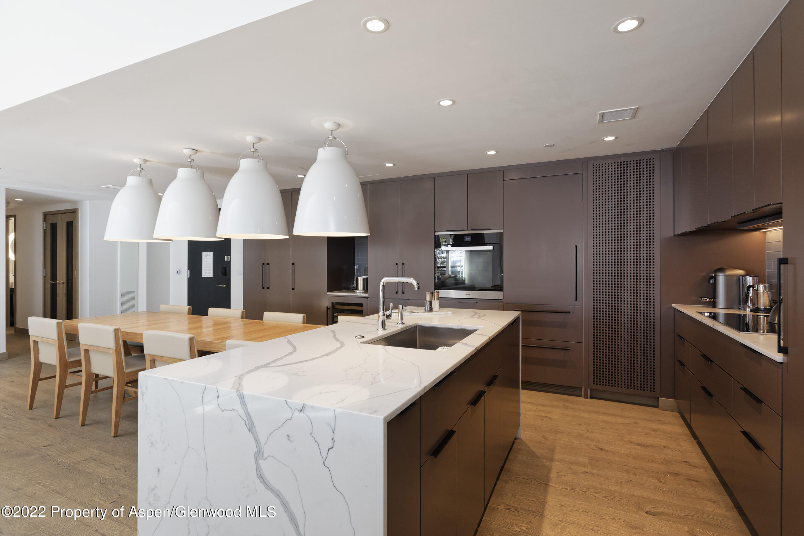 550 S Spring Street Aspen CO 81611