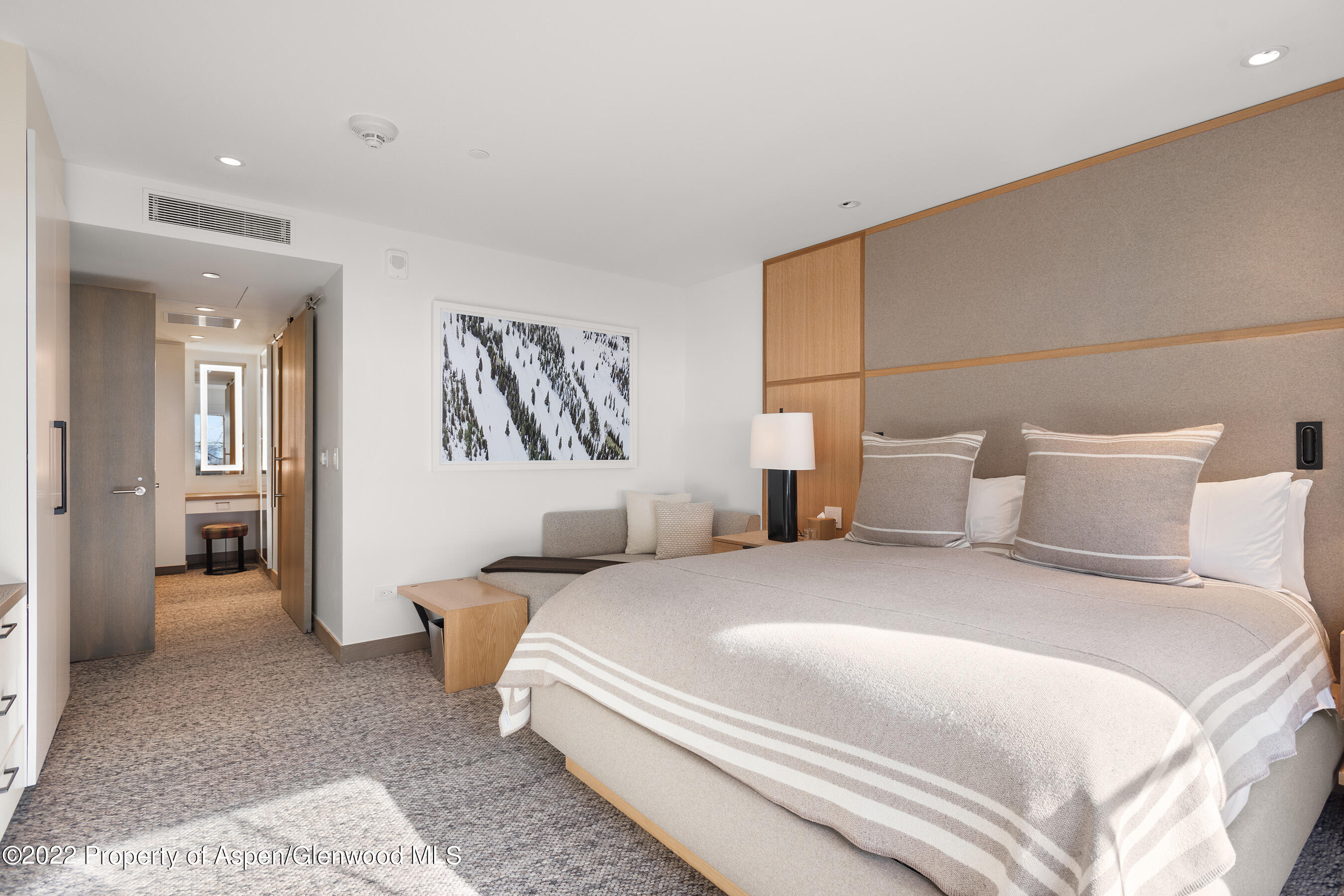 550 S Spring Street Aspen CO 81611