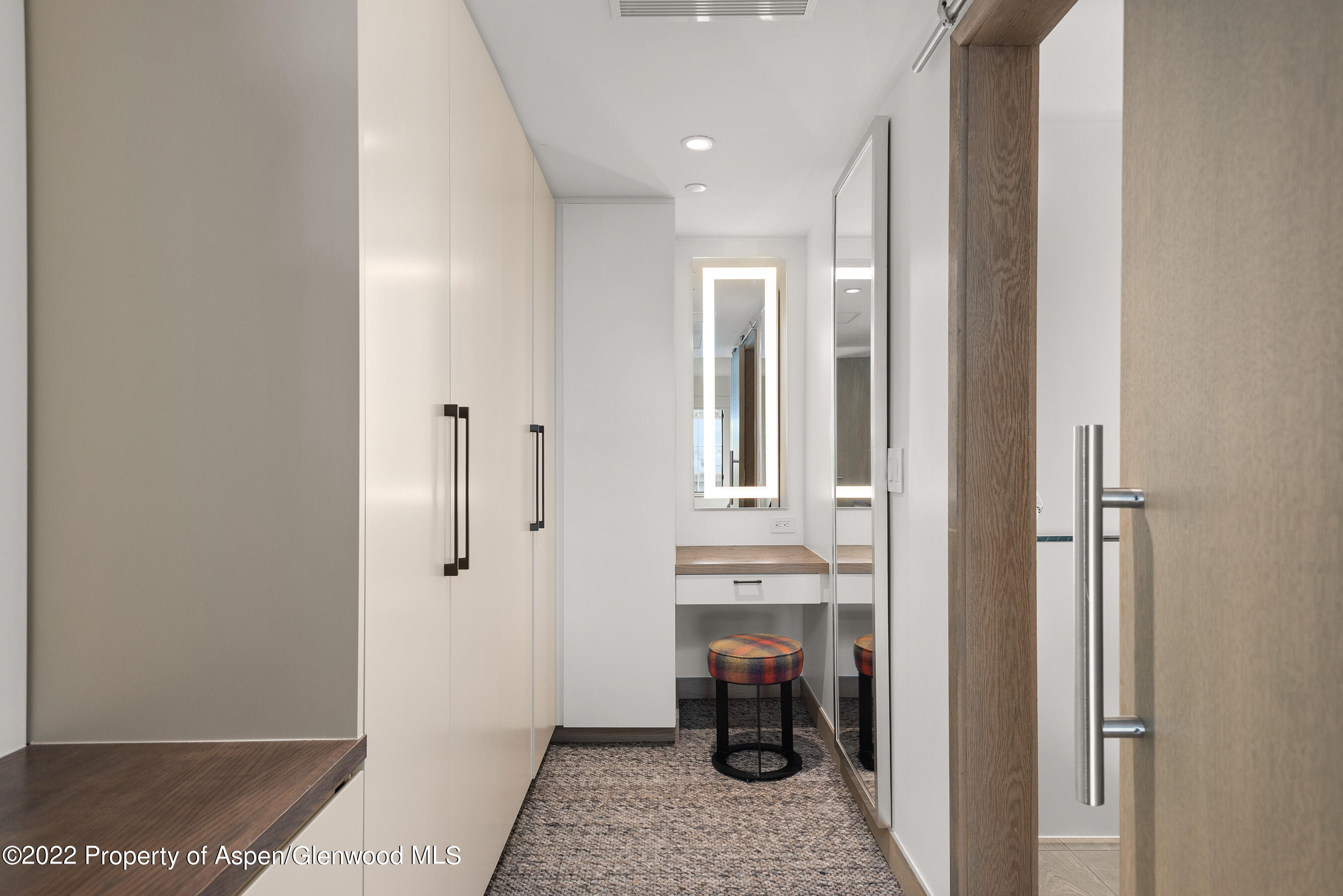 550 S Spring Street Aspen CO 81611