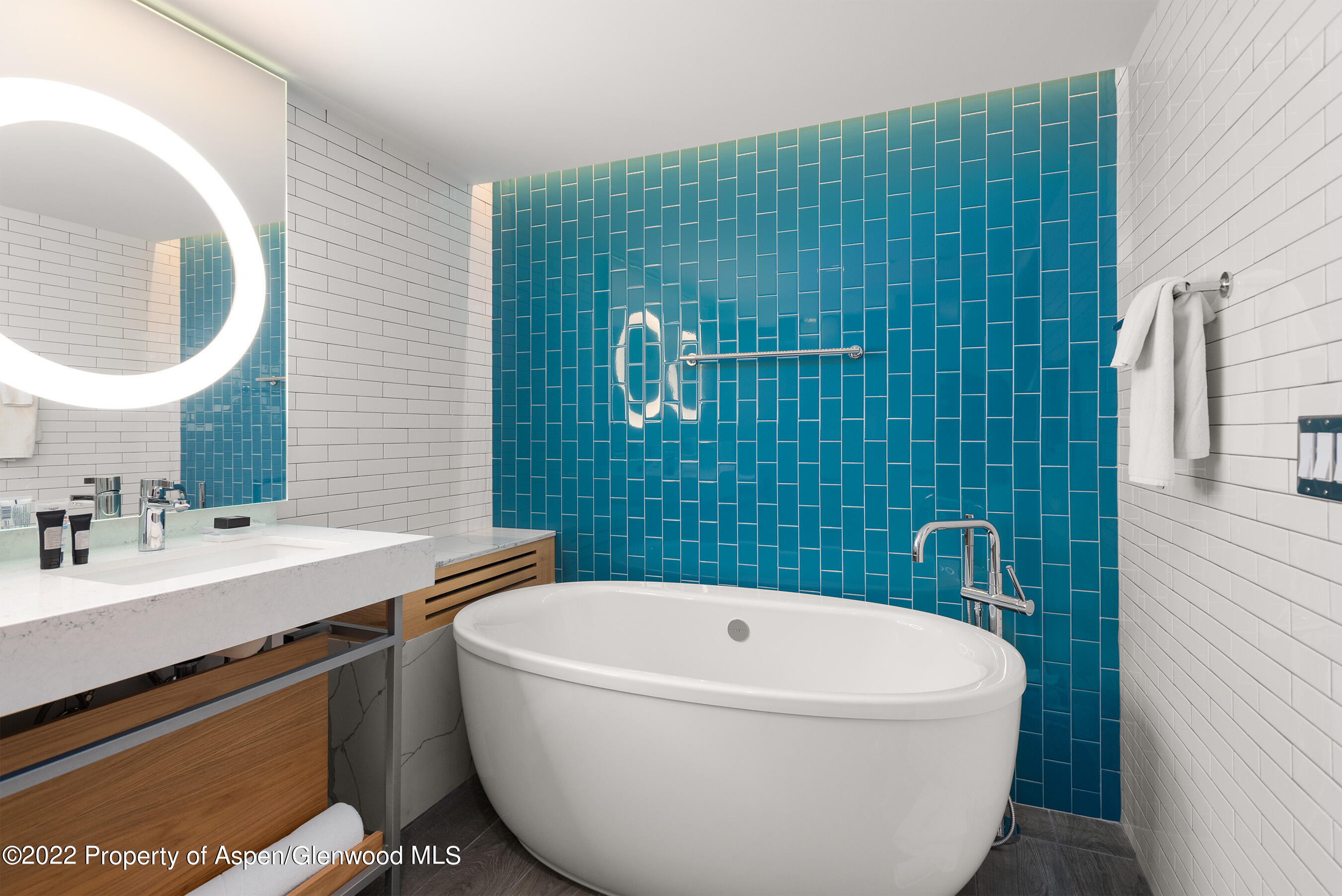 550 S Spring Street Aspen CO 81611