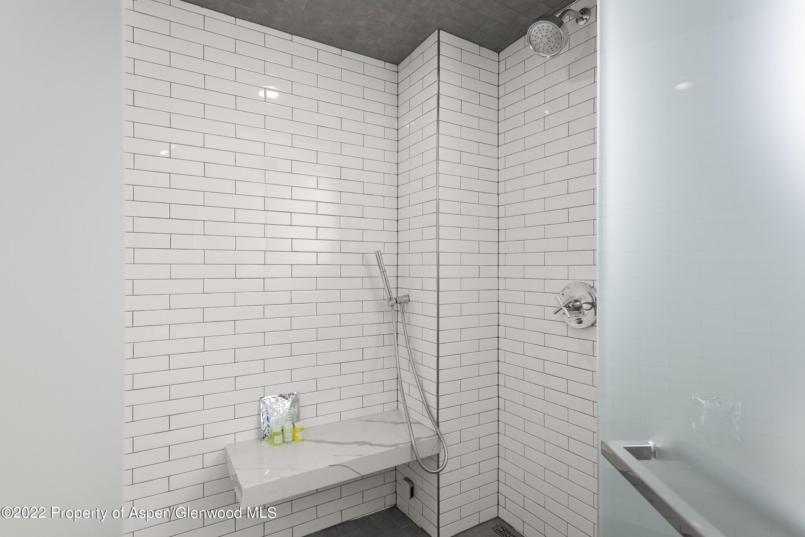 550 S Spring Street Aspen CO 81611