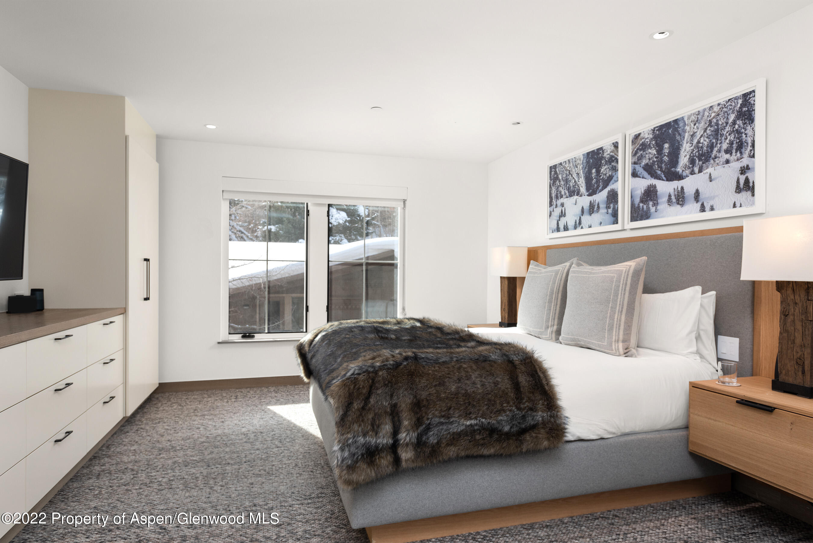 550 S Spring Street Aspen CO 81611