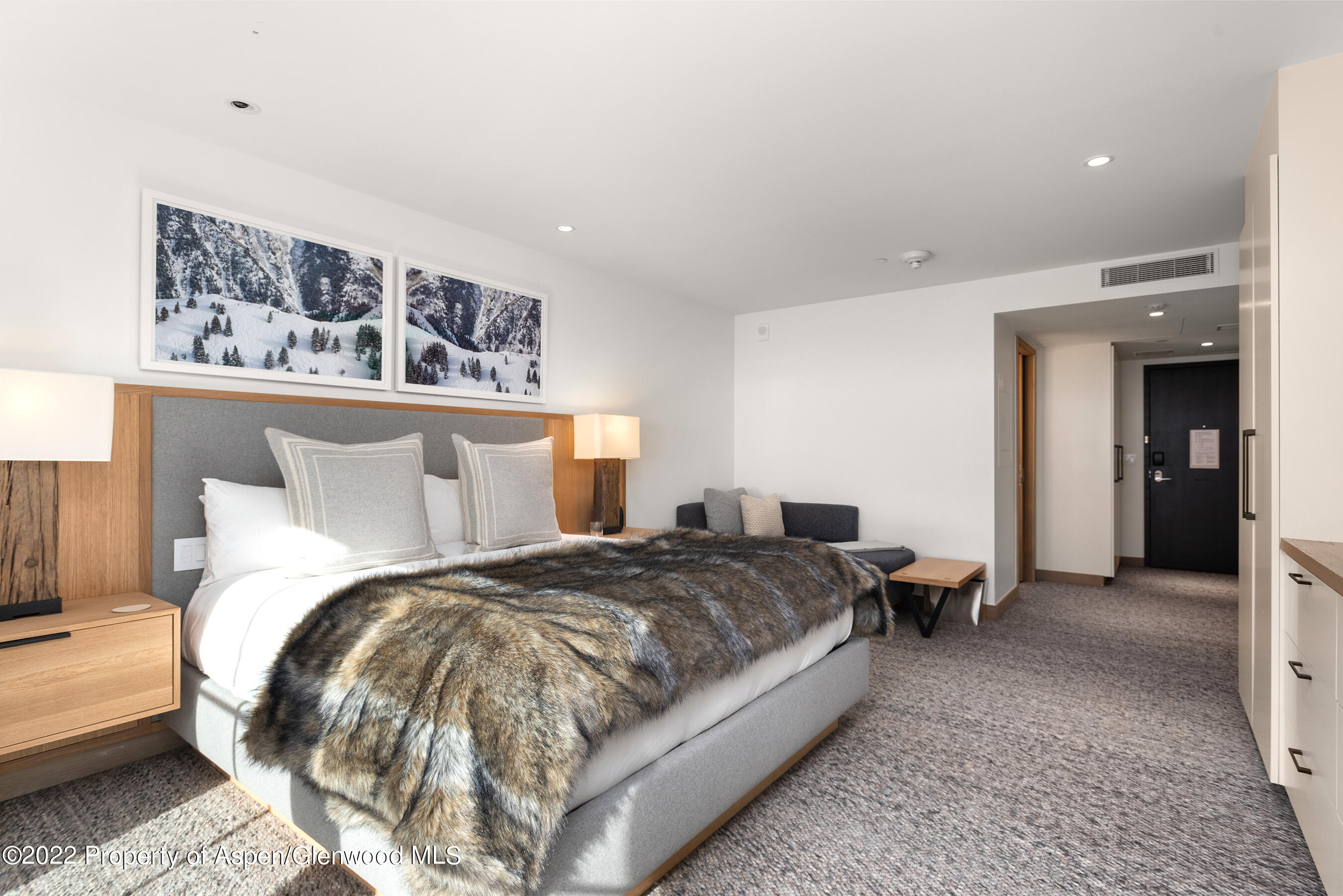 550 S Spring Street Aspen CO 81611