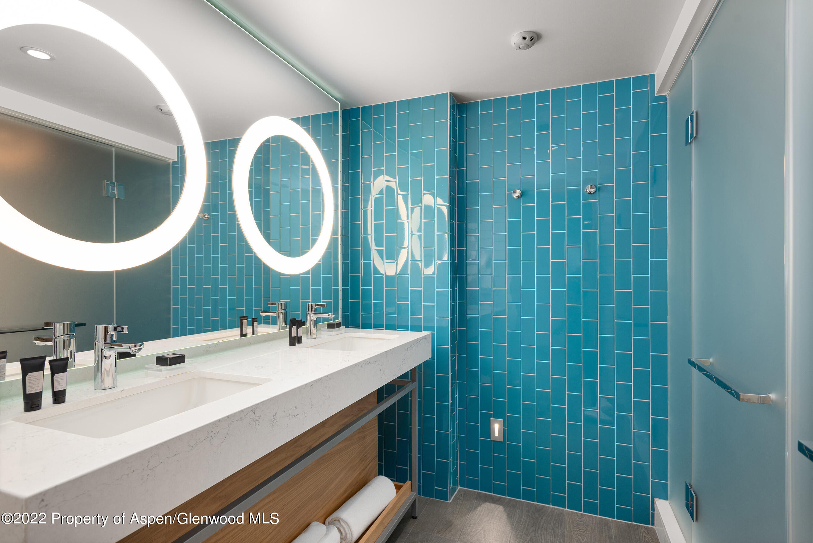 550 S Spring Street Aspen CO 81611