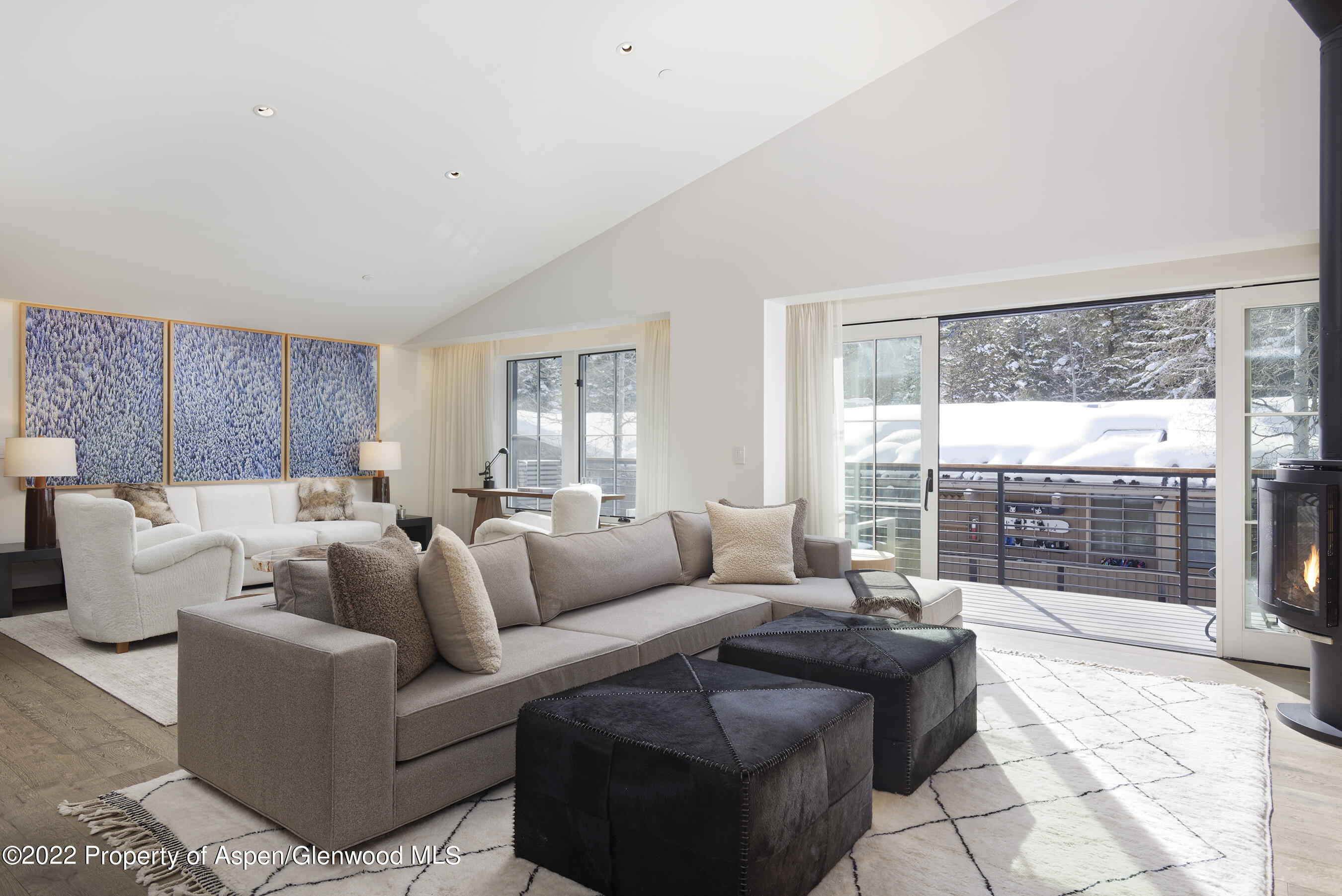 550 S Spring Street Aspen CO 81611