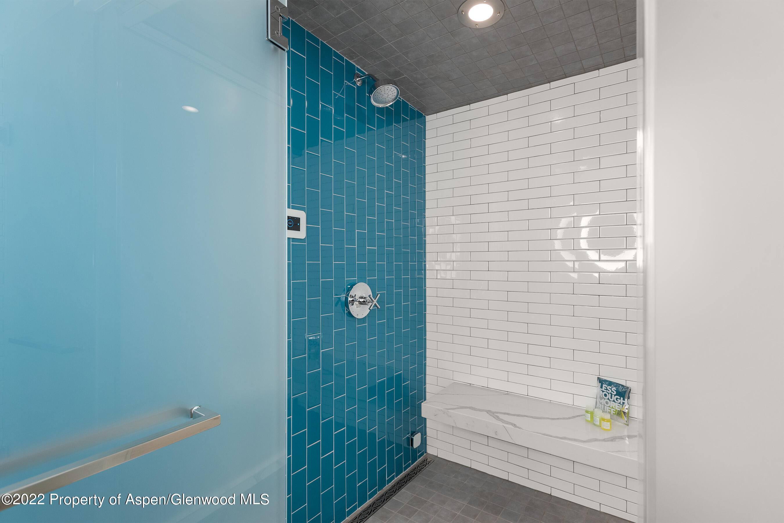 550 S Spring Street Aspen CO 81611