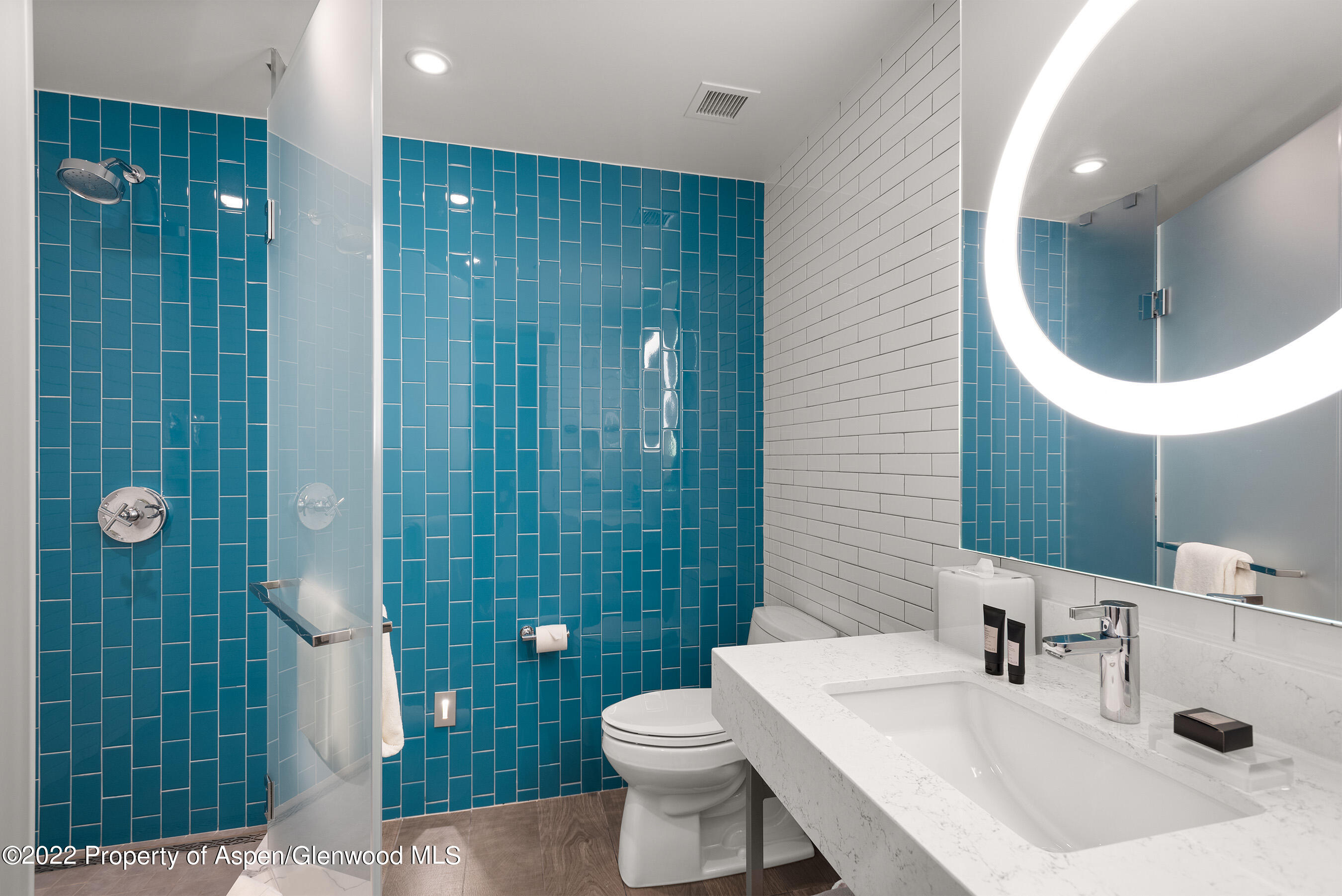 550 S Spring Street Aspen CO 81611