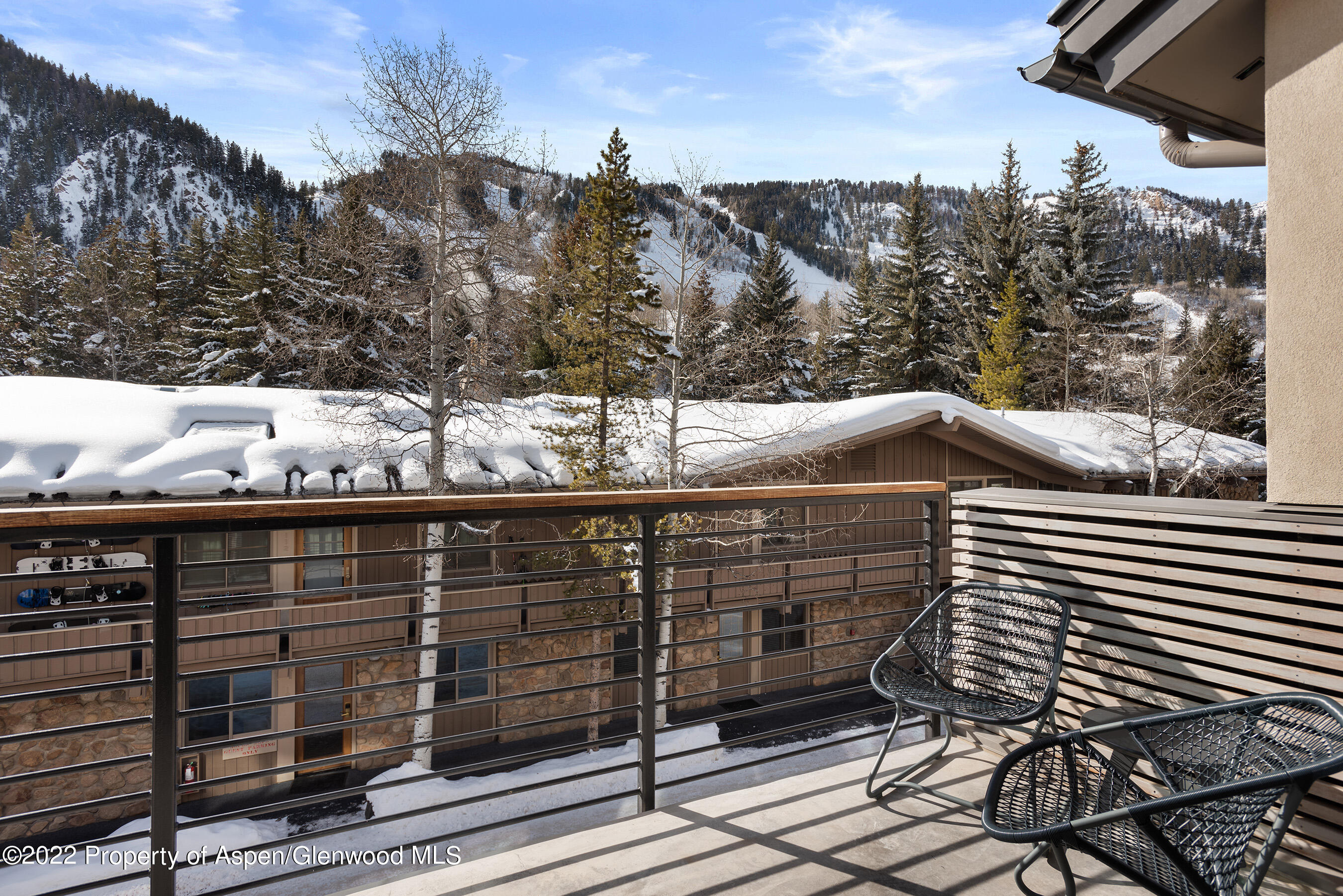 550 S Spring Street Aspen CO 81611
