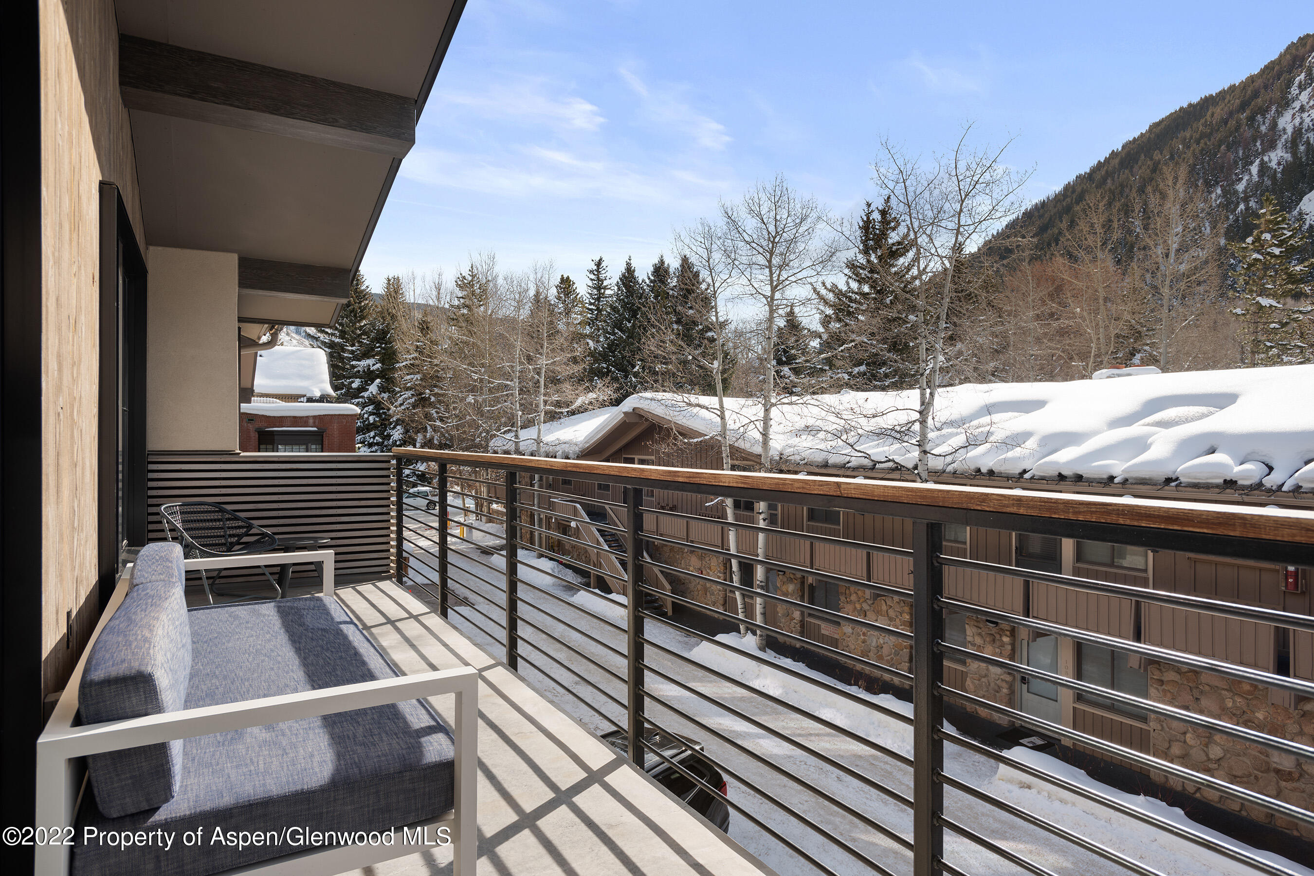 550 S Spring Street Aspen CO 81611