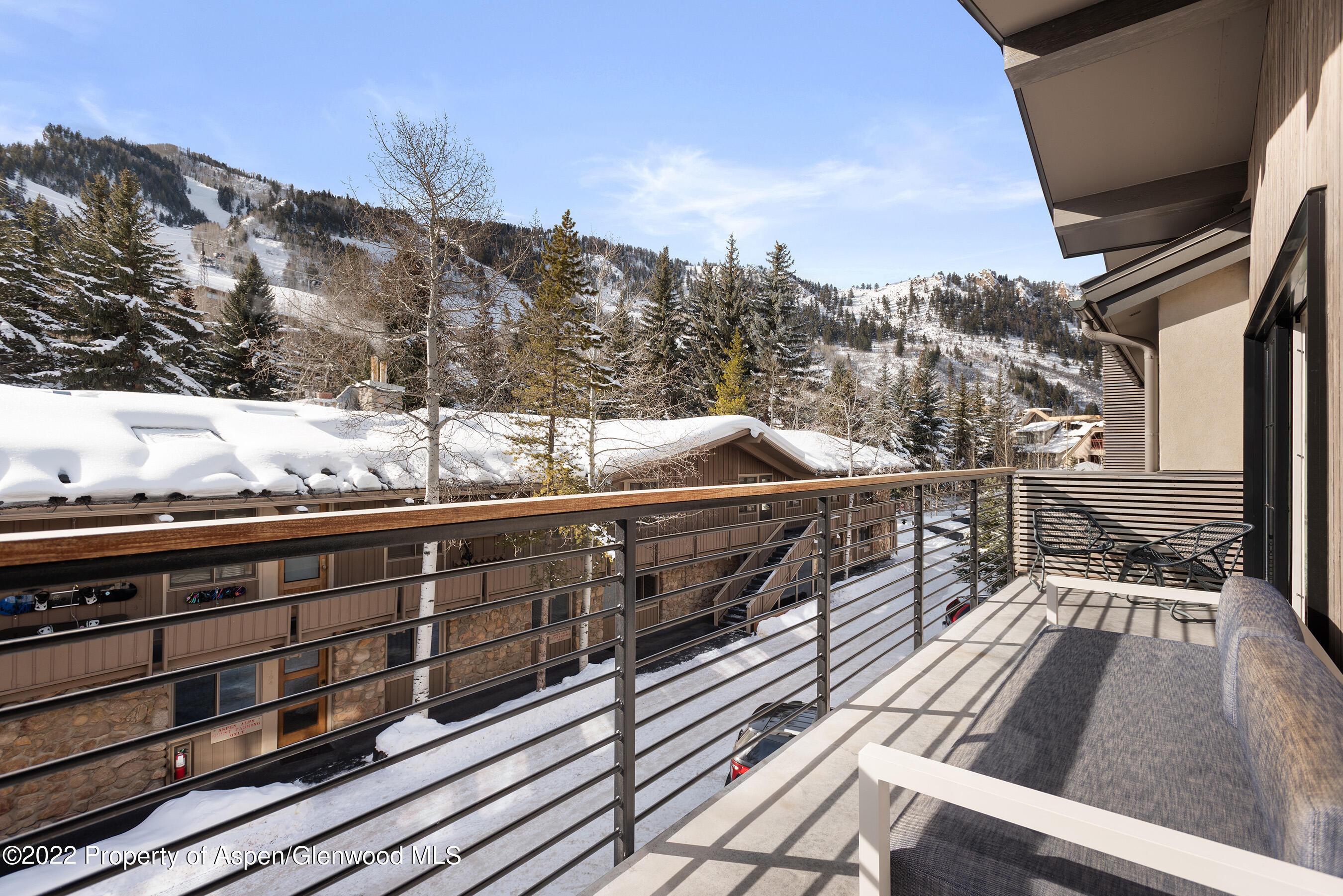 550 S Spring Street Aspen CO 81611