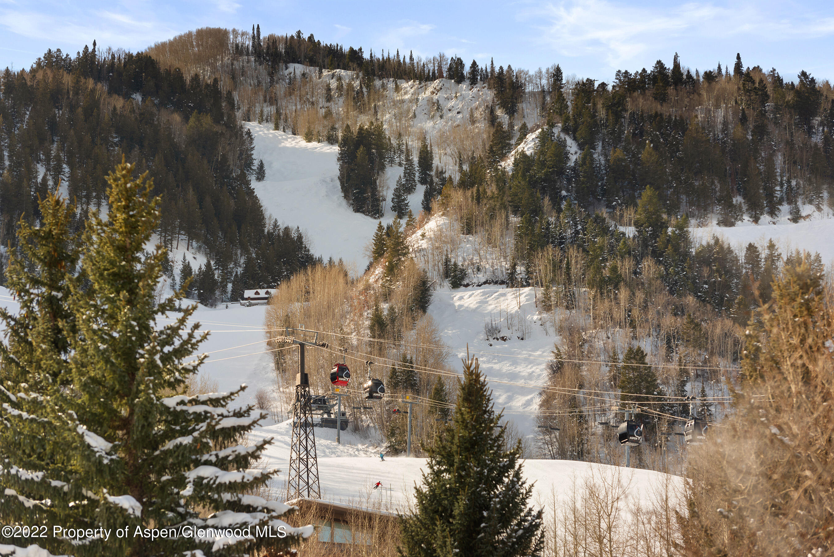 550 S Spring Street Aspen CO 81611