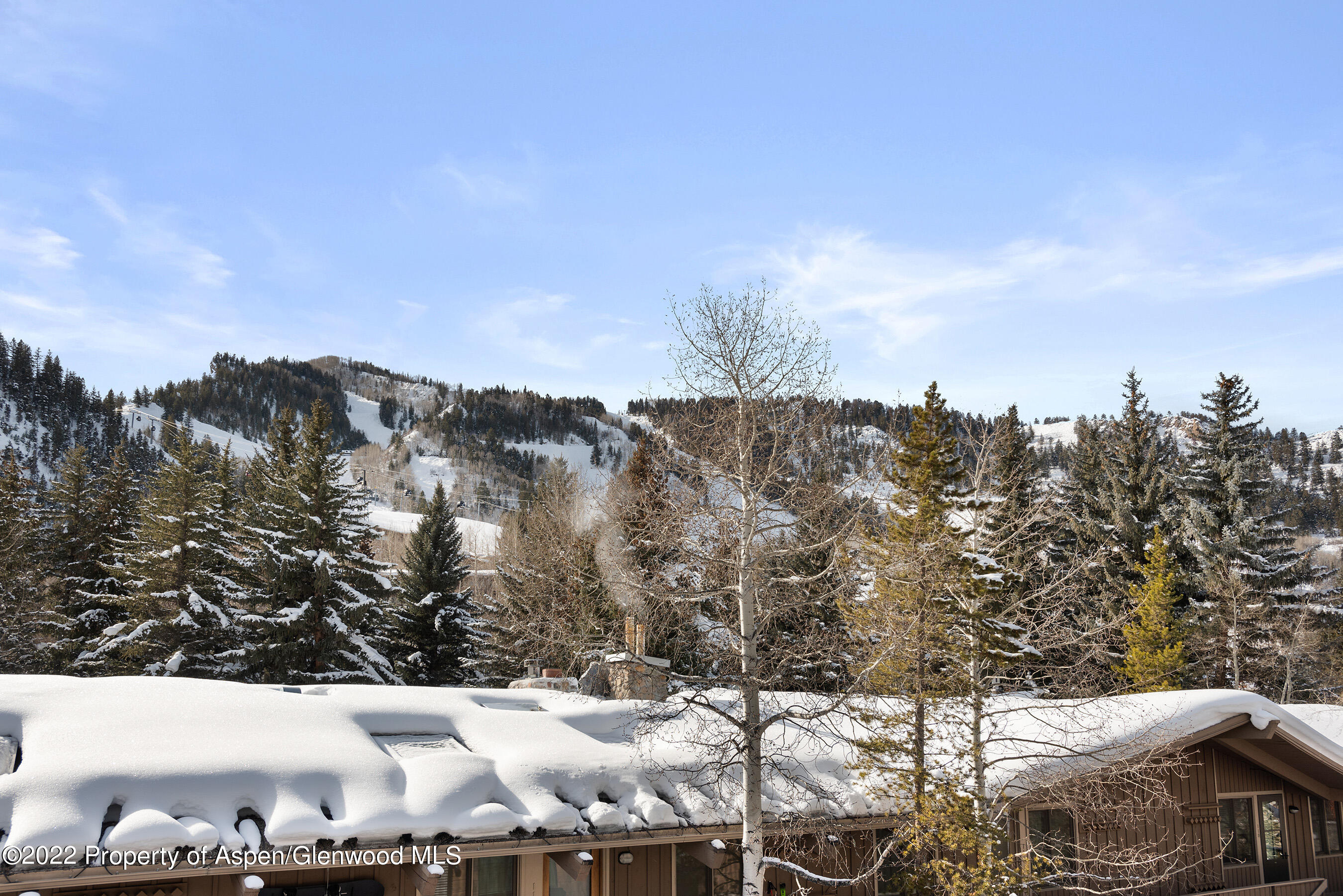 550 S Spring Street Aspen CO 81611