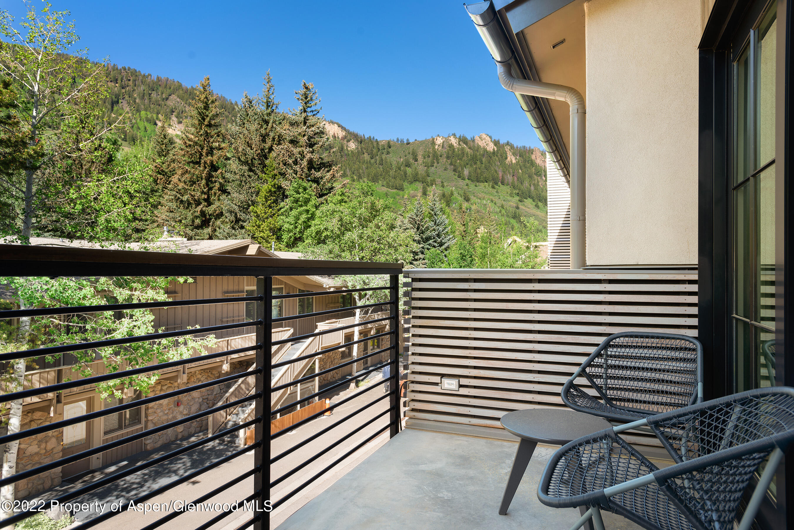 550 S Spring Street Aspen CO 81611