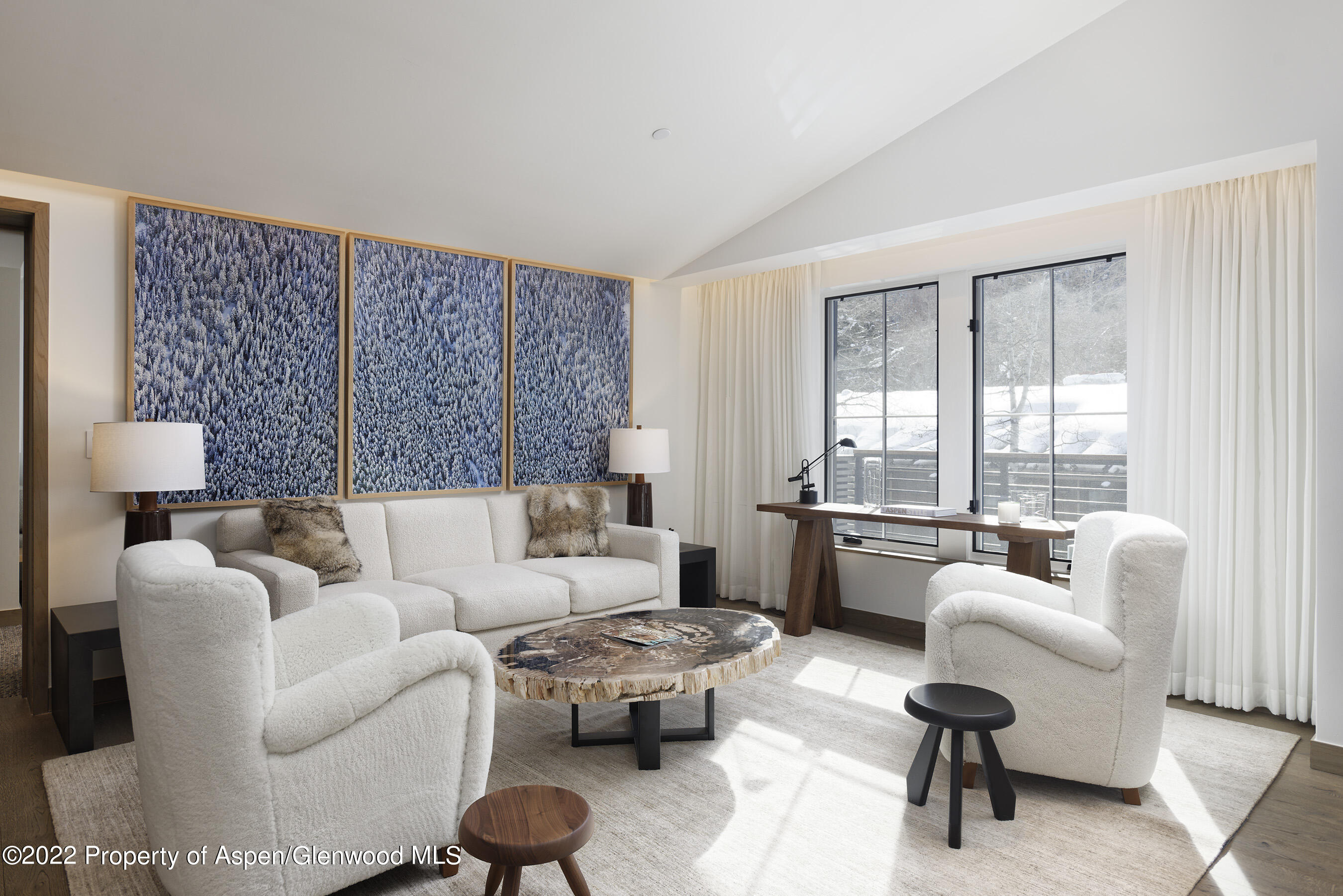 550 S Spring Street Aspen CO 81611