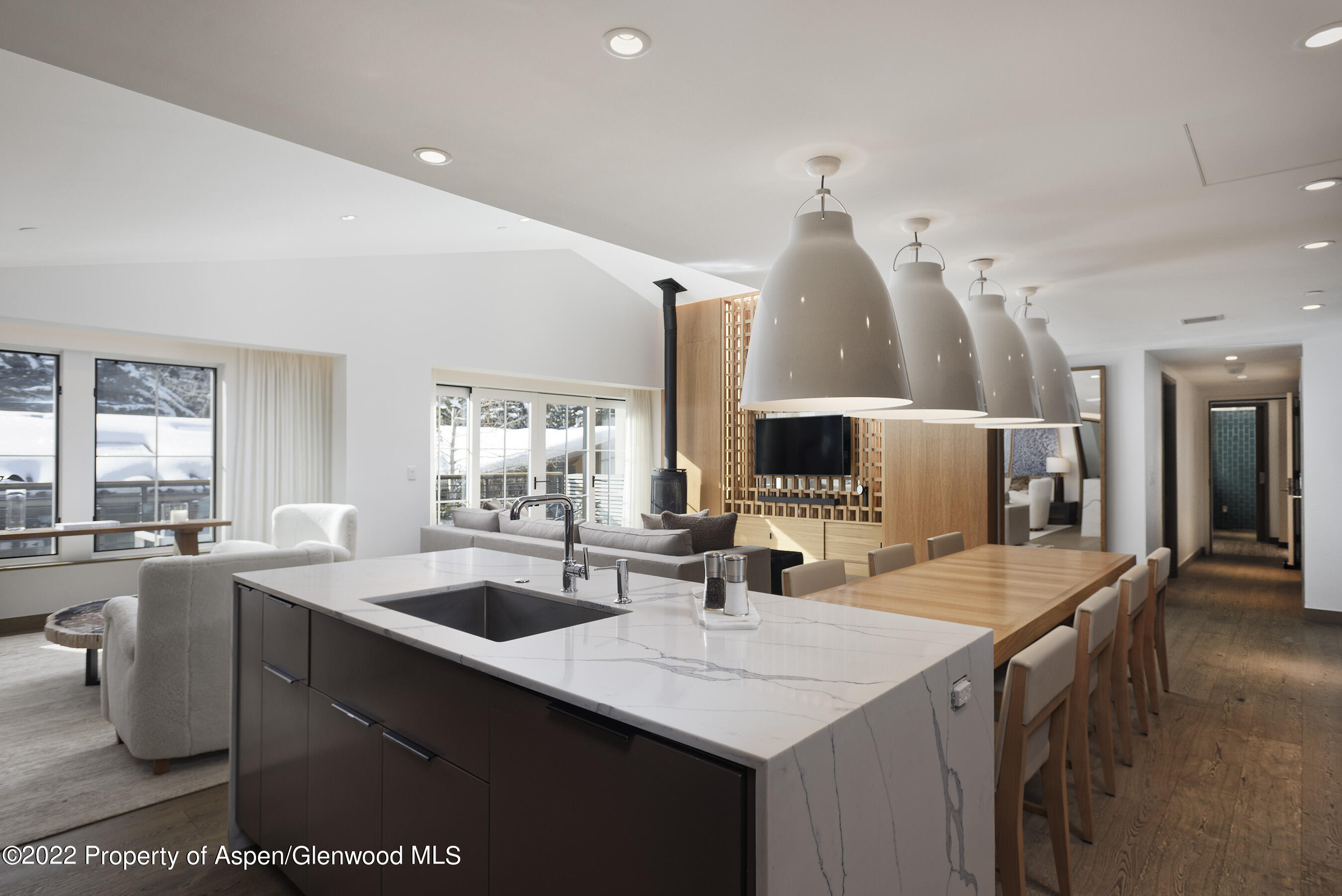 550 S Spring Street Aspen CO 81611