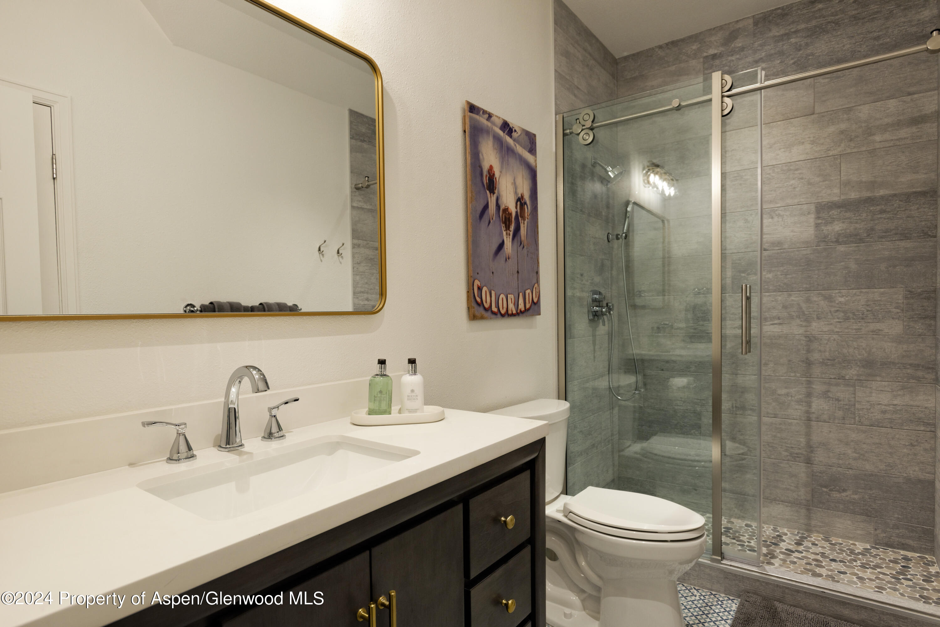 400 Medicine Bow Road Aspen CO 81611