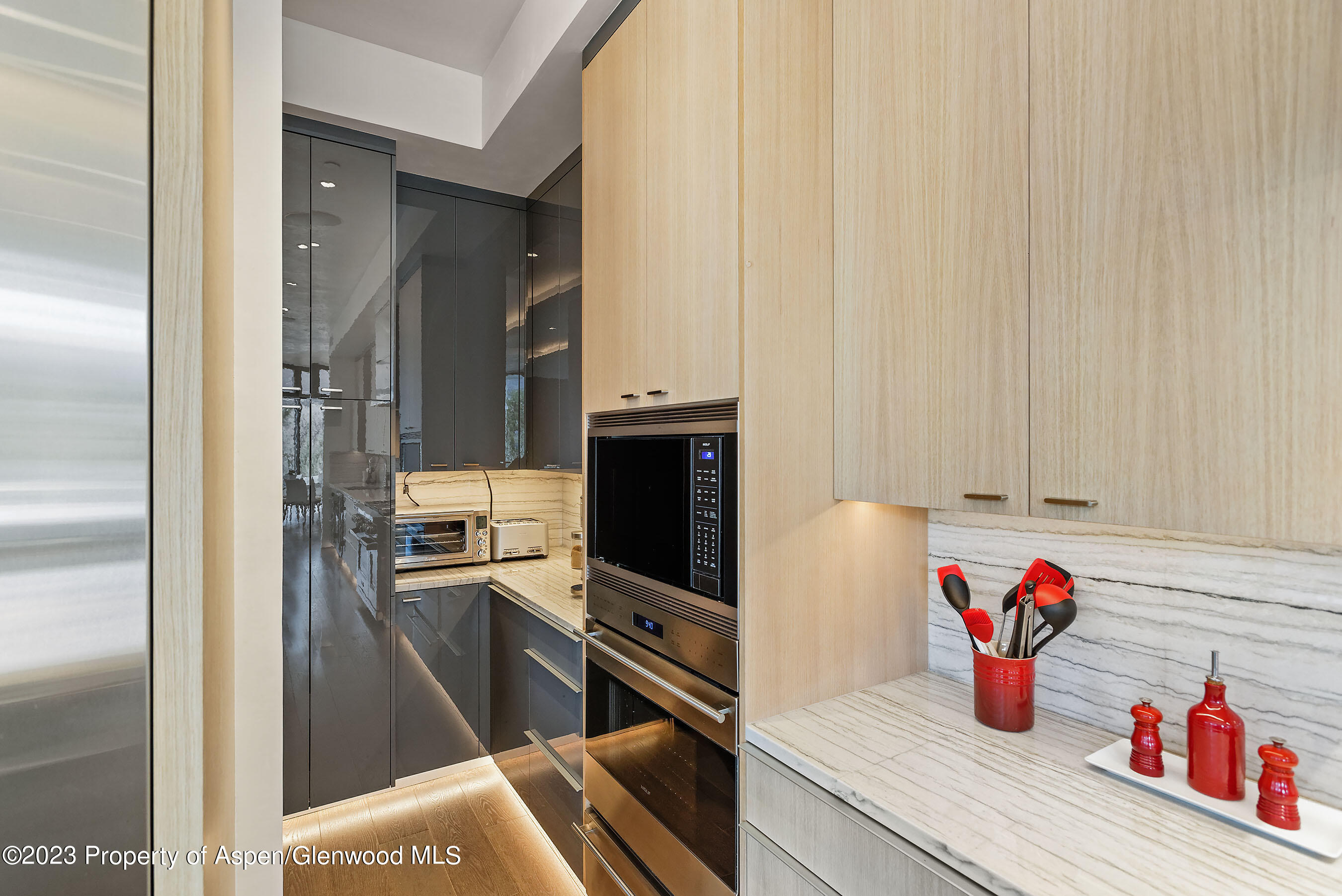 19 Little Cloud Trail Aspen CO 81611