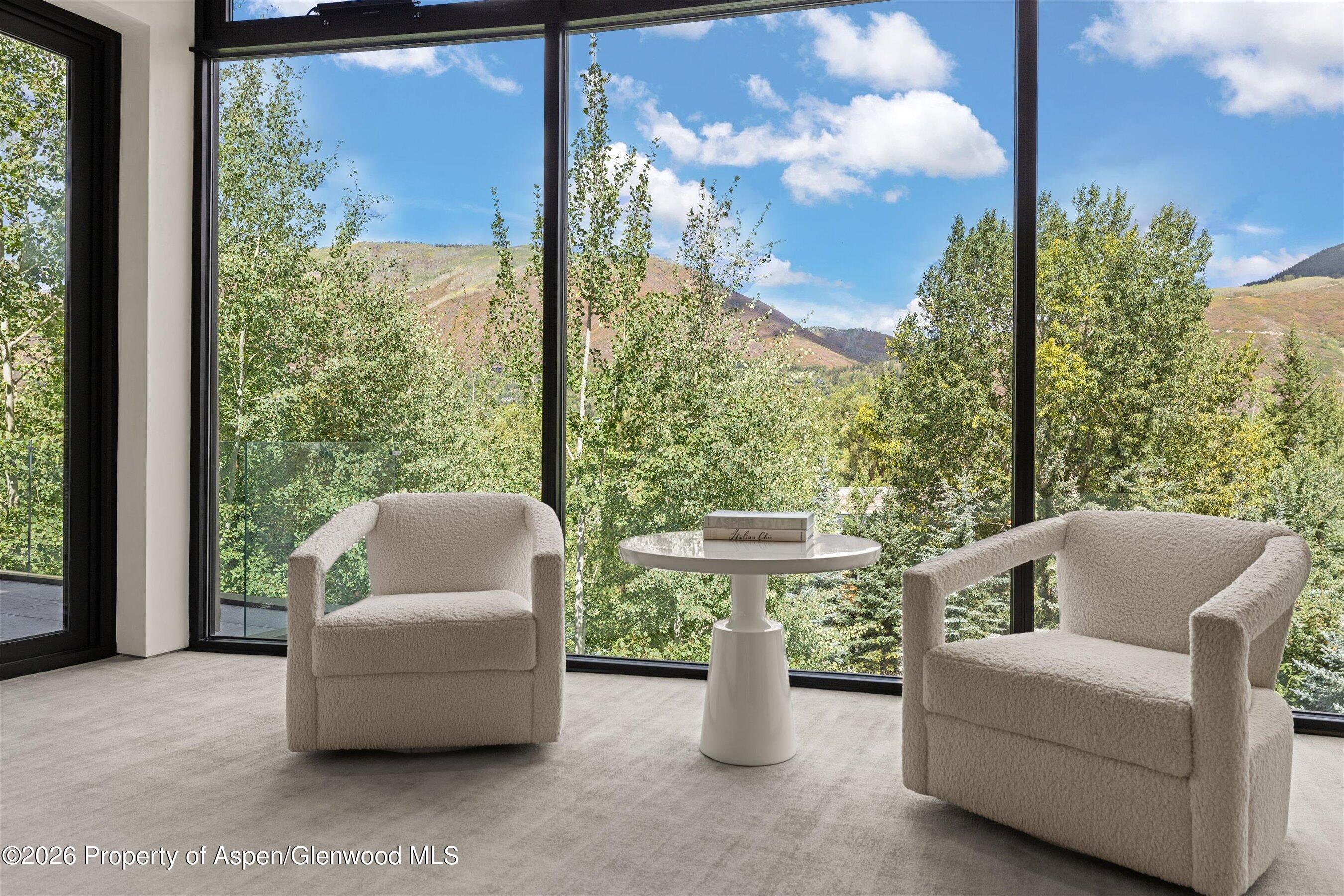 19 Little Cloud Trail Aspen CO 81611