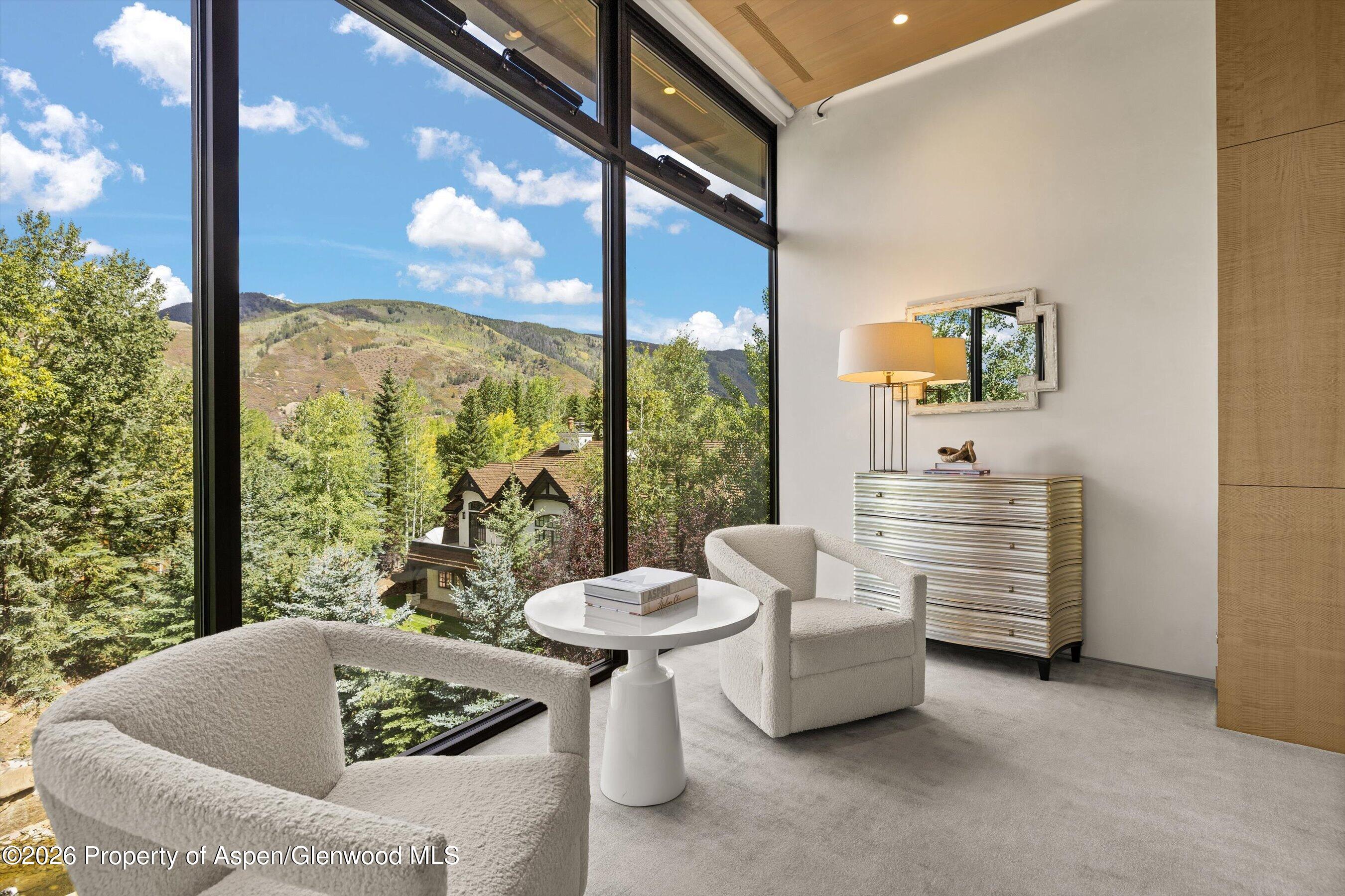 19 Little Cloud Trail Aspen CO 81611