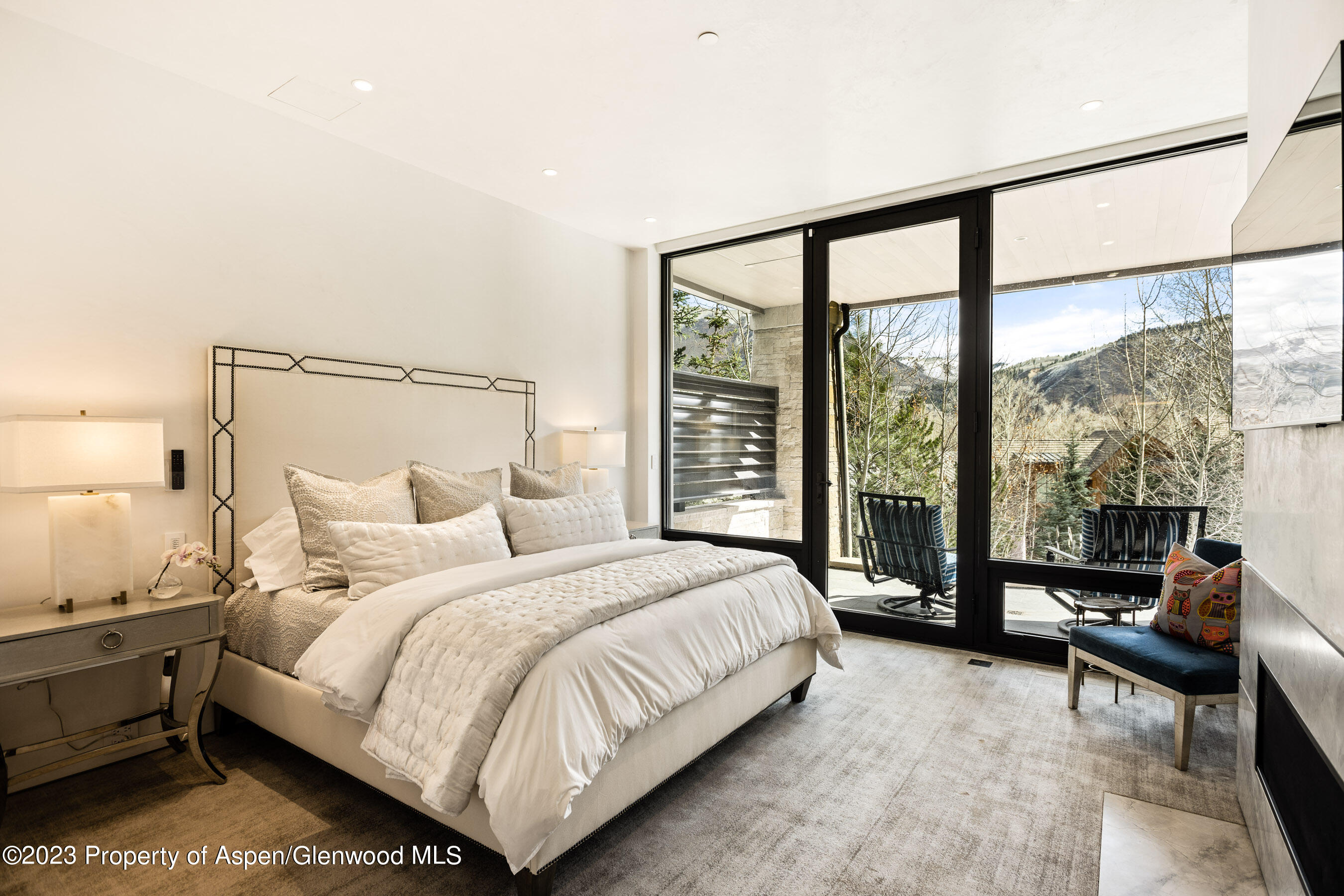 19 Little Cloud Trail Aspen CO 81611