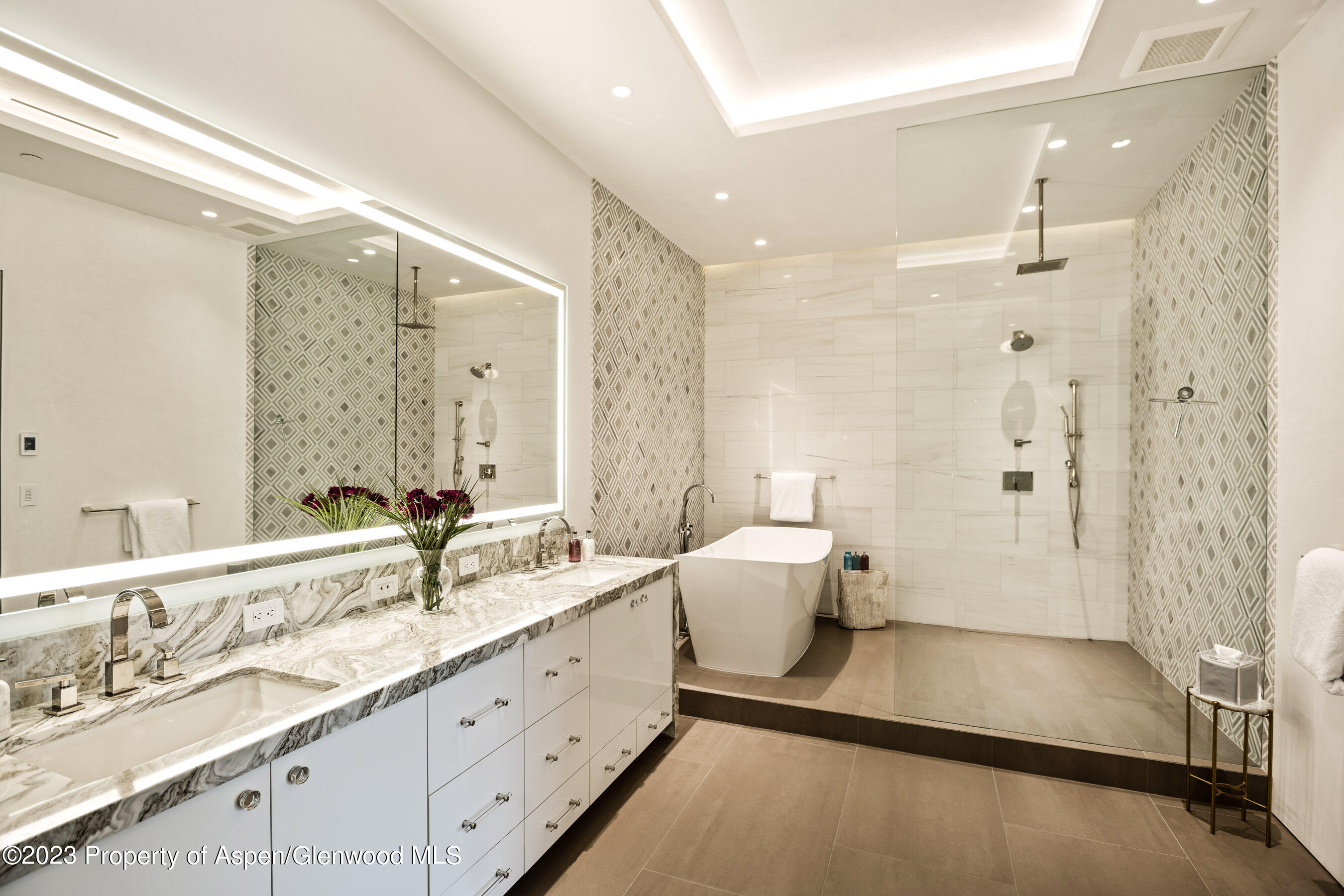 19 Little Cloud Trail Aspen CO 81611