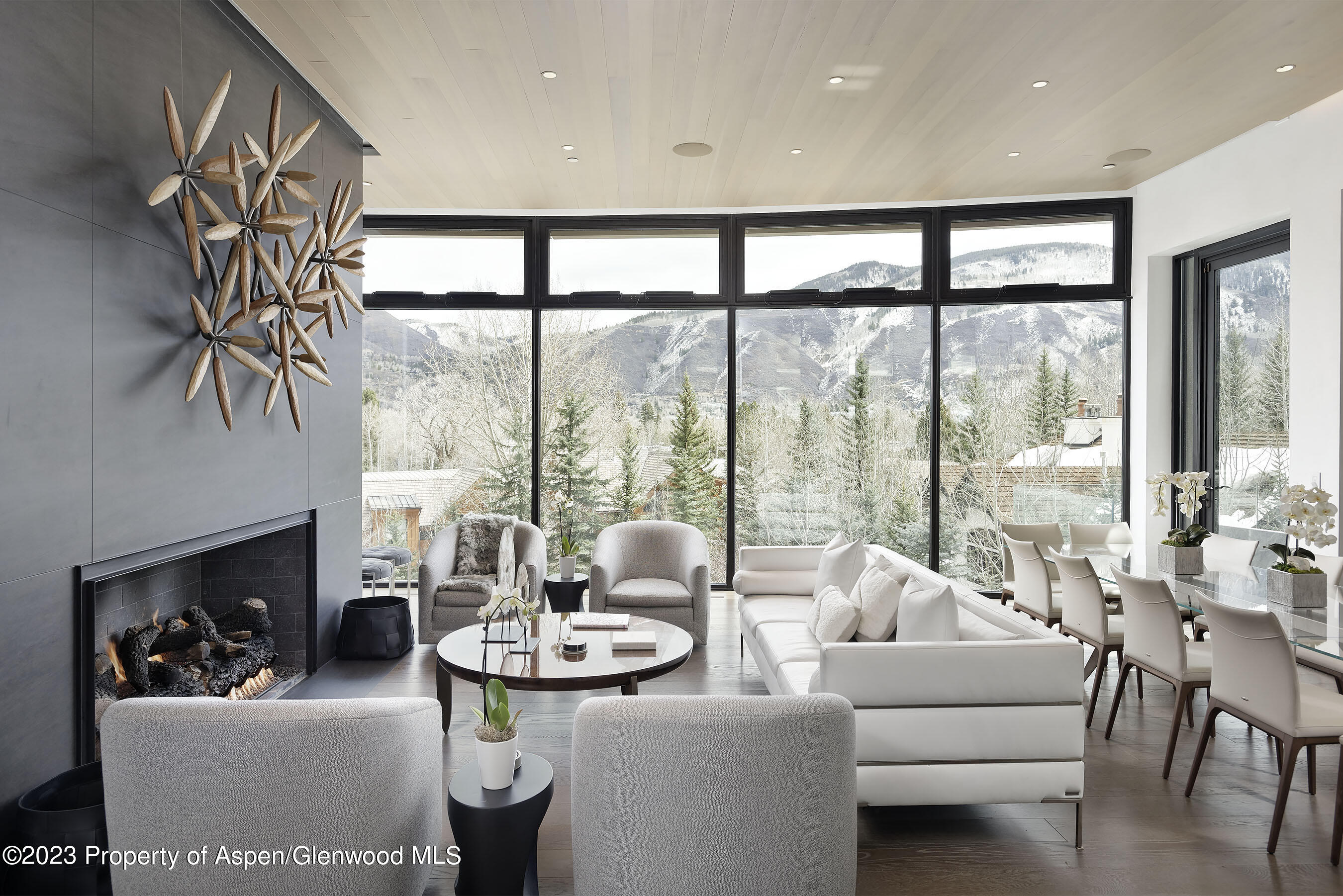 19 Little Cloud Trail Aspen CO 81611